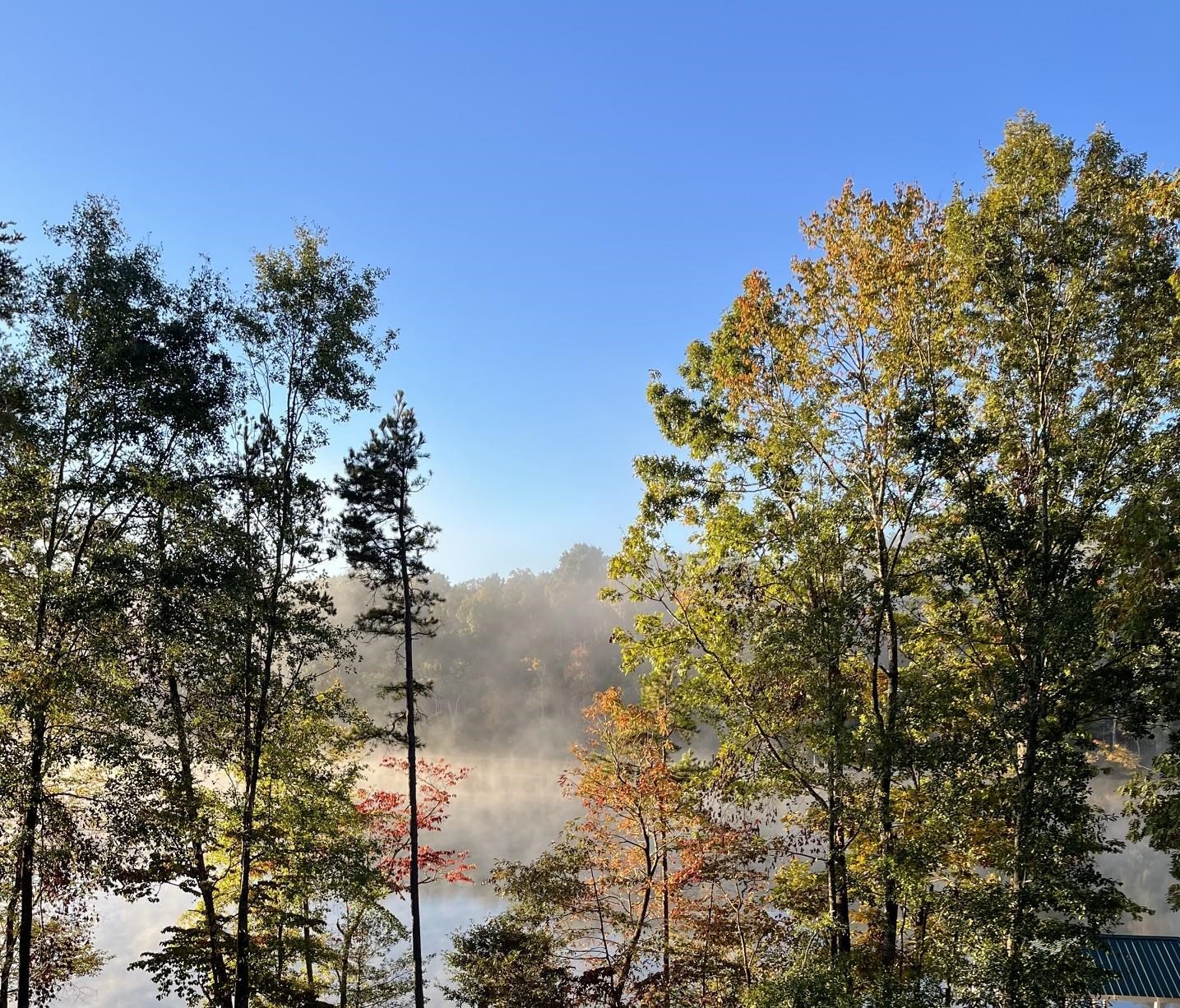 Image 36