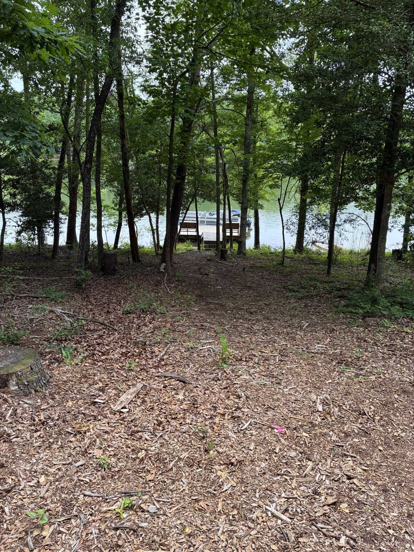 Image 13