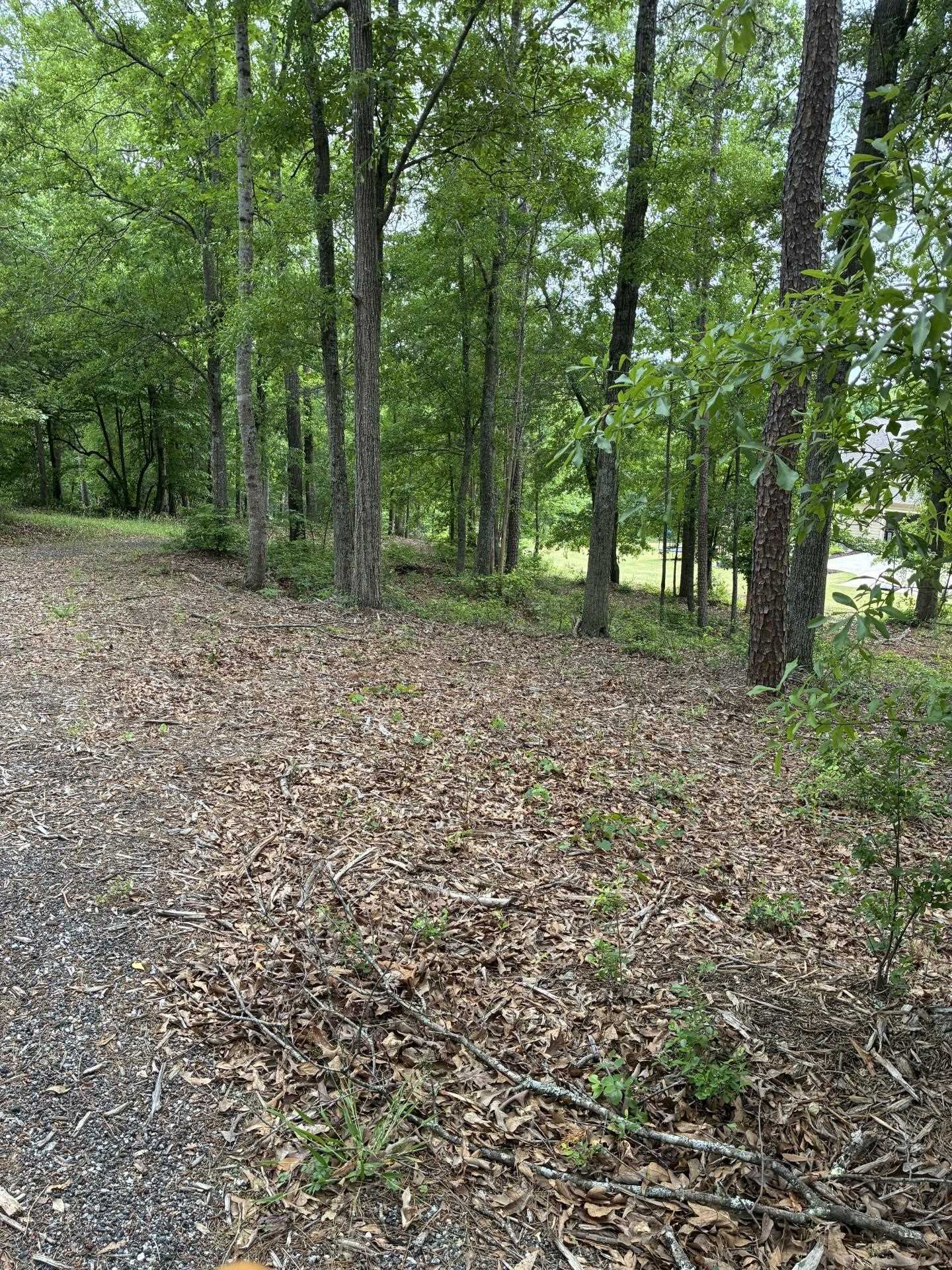 Image 14