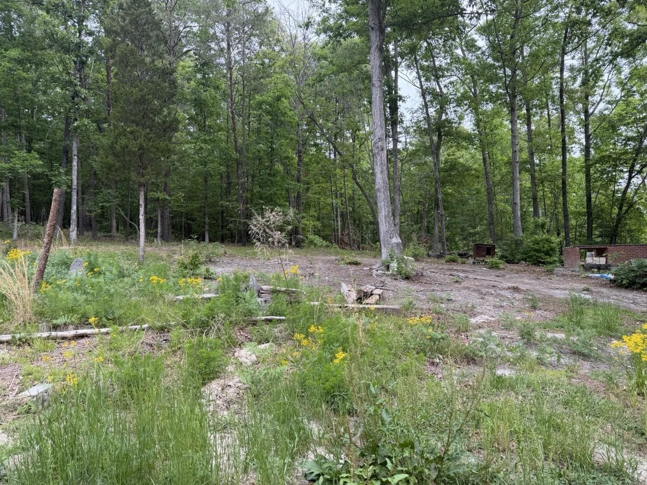 Image 20