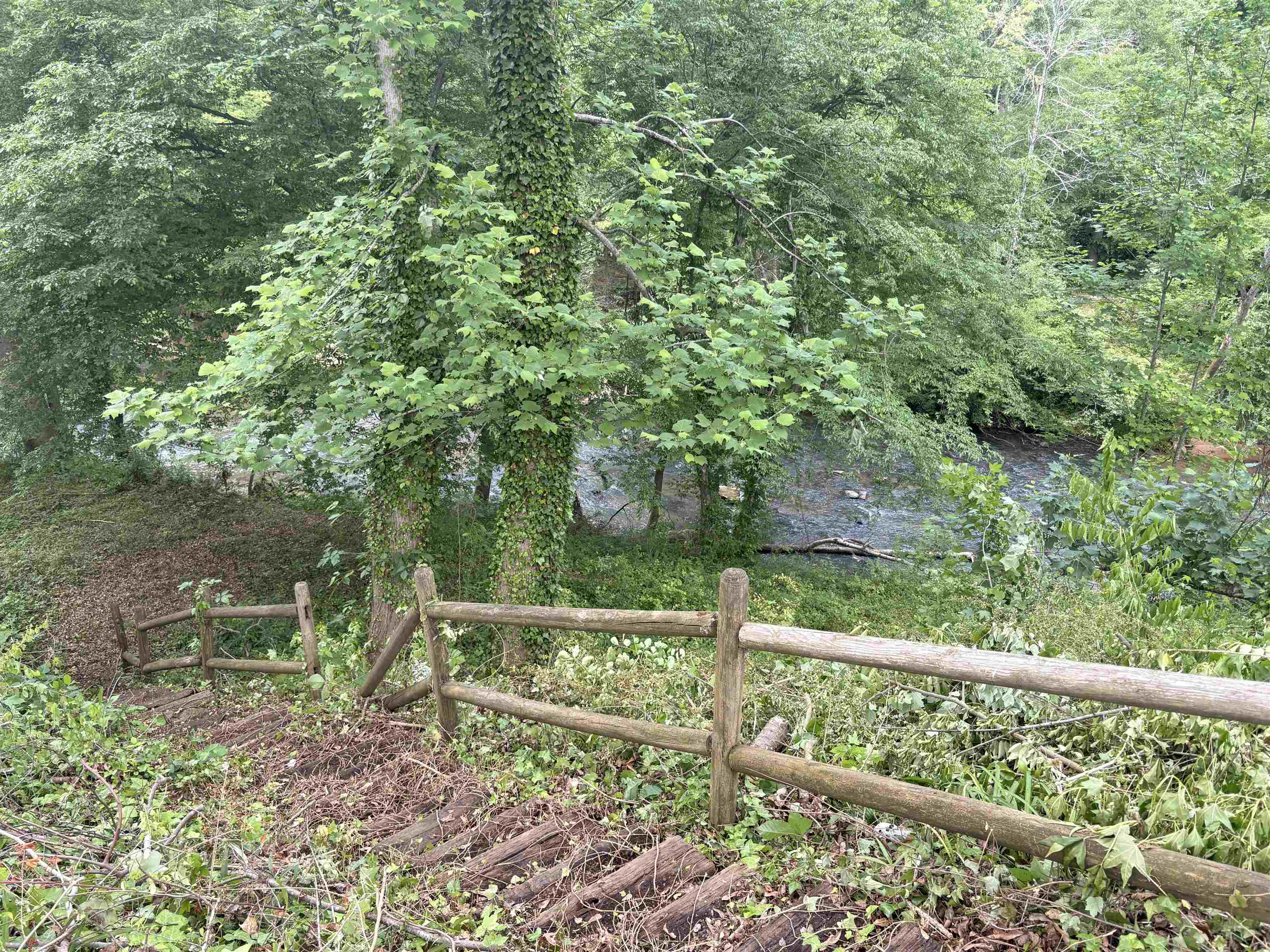 Image 16