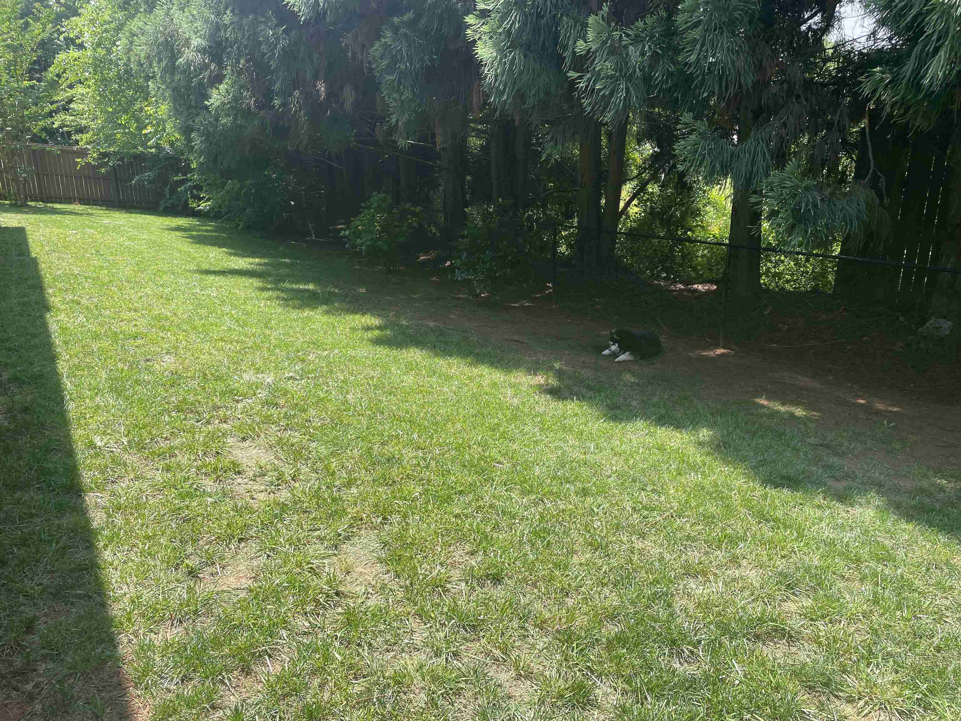 Image 31