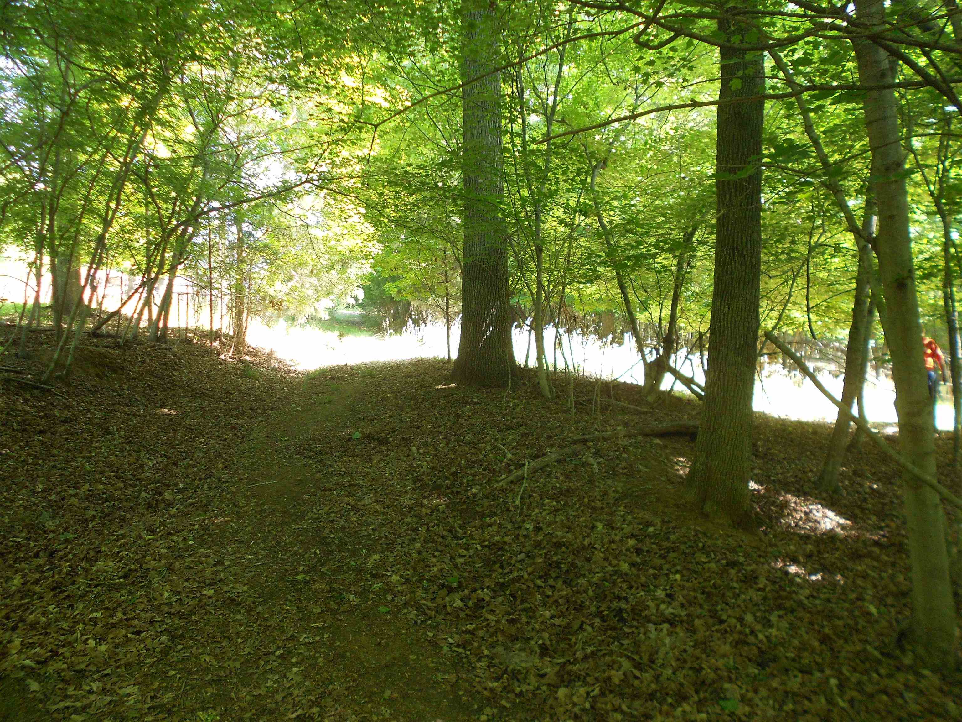Lot 15,16 Cypress Road