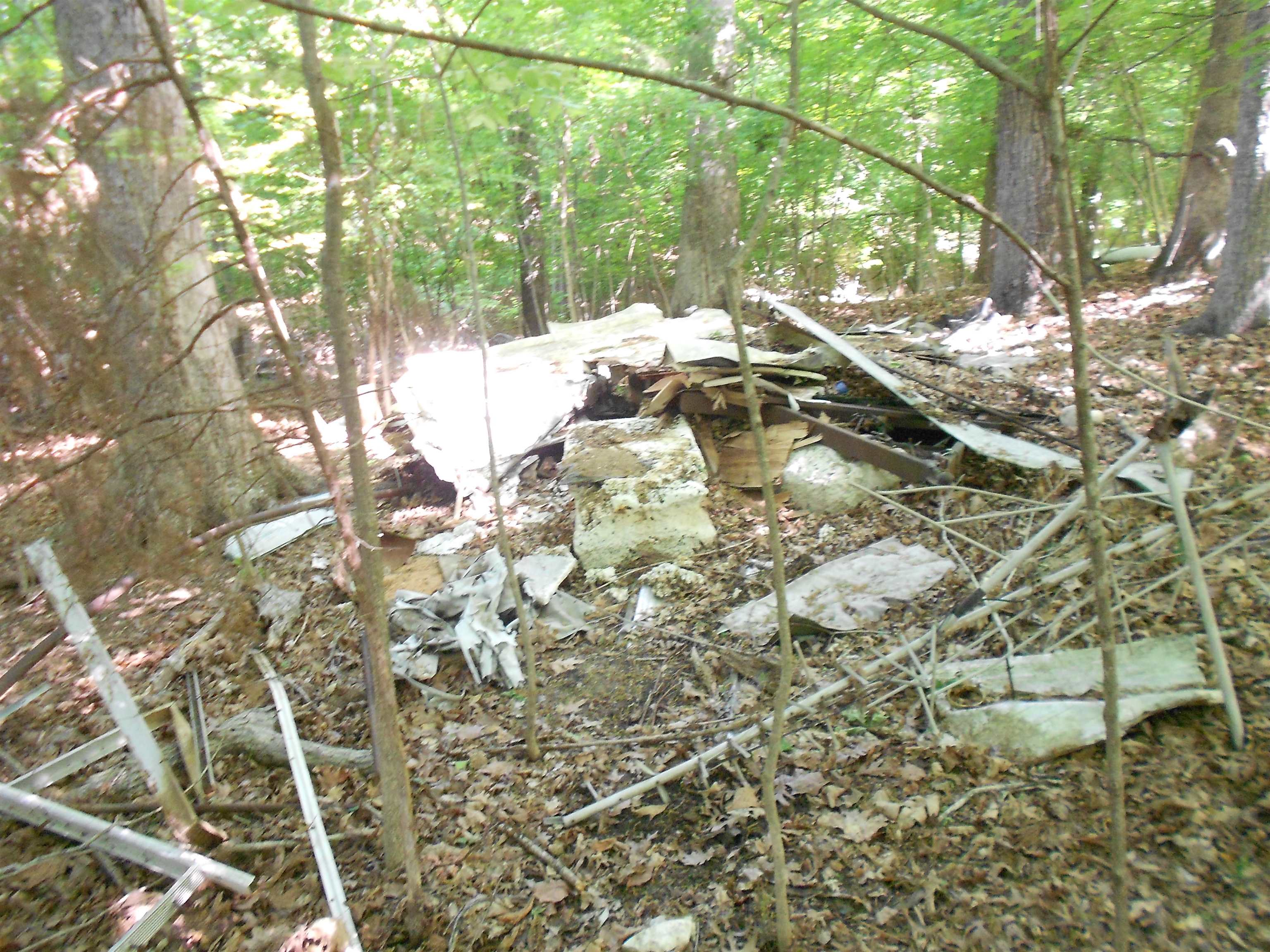 Image 8