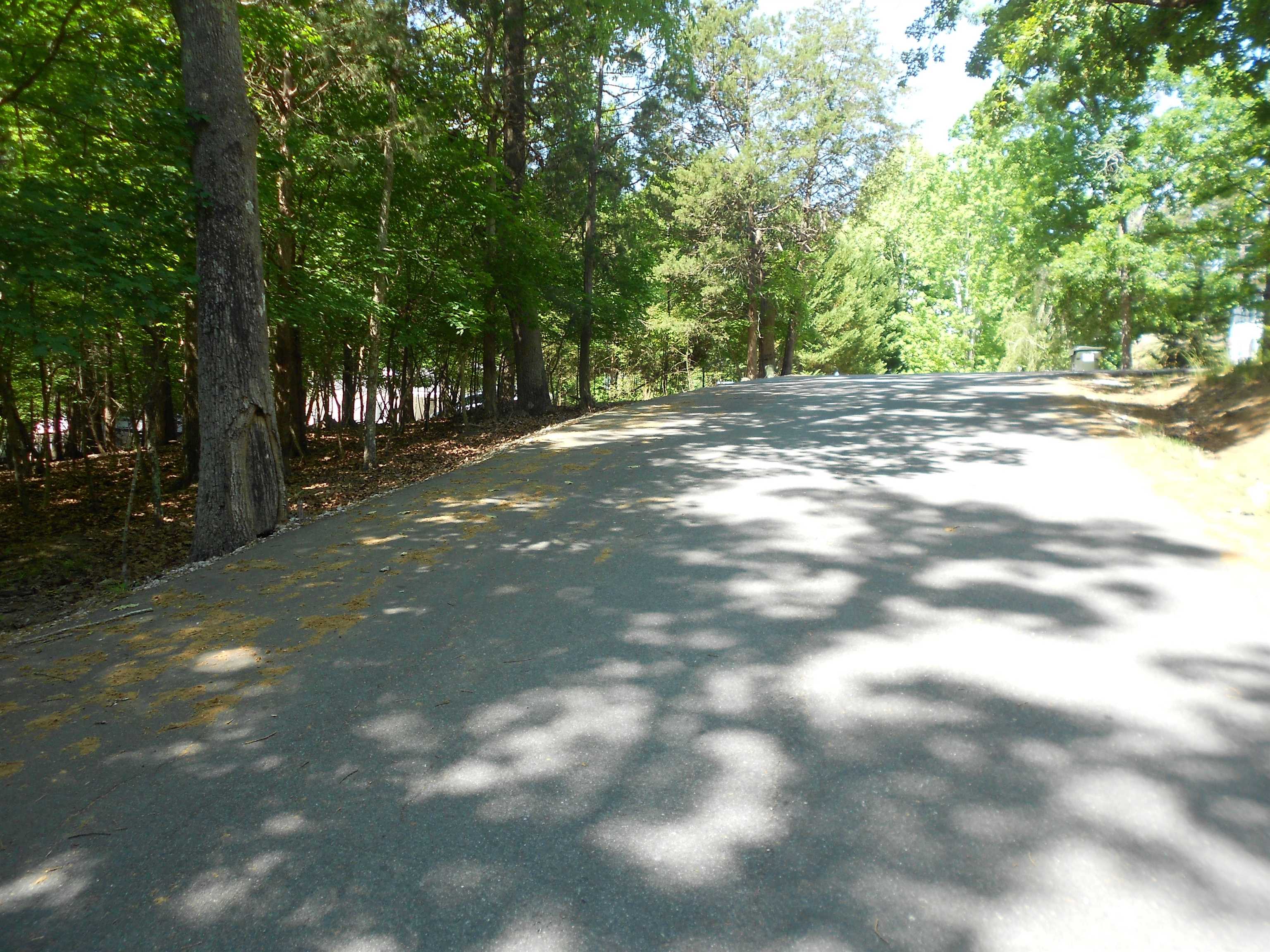 Image 13