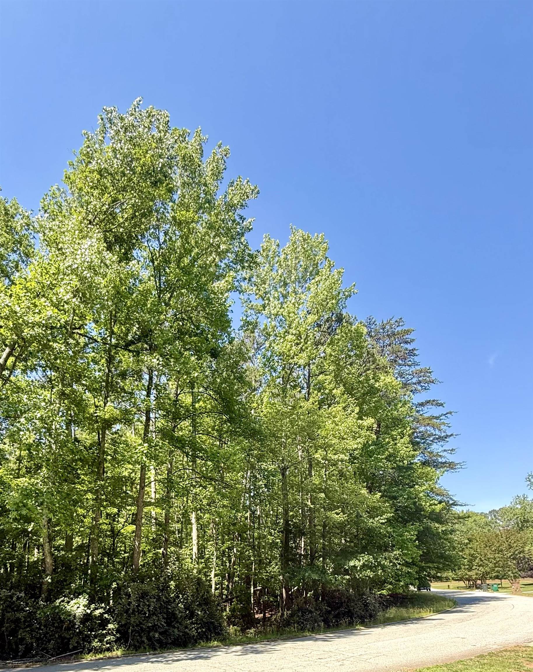 00 Woodwind Drive