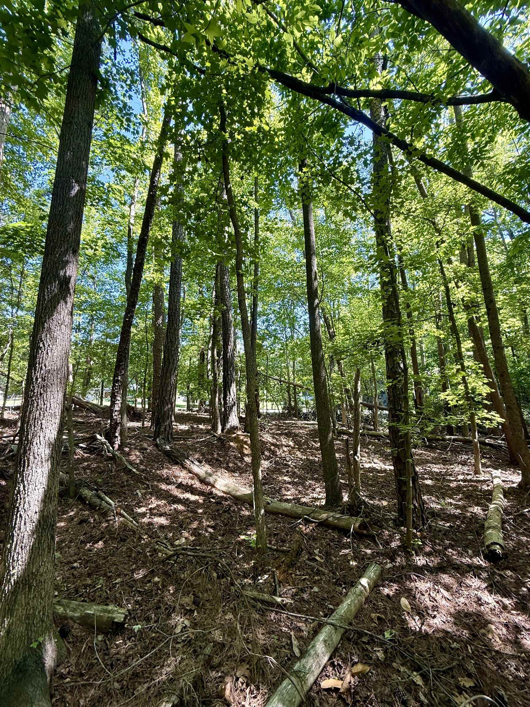 Image 14