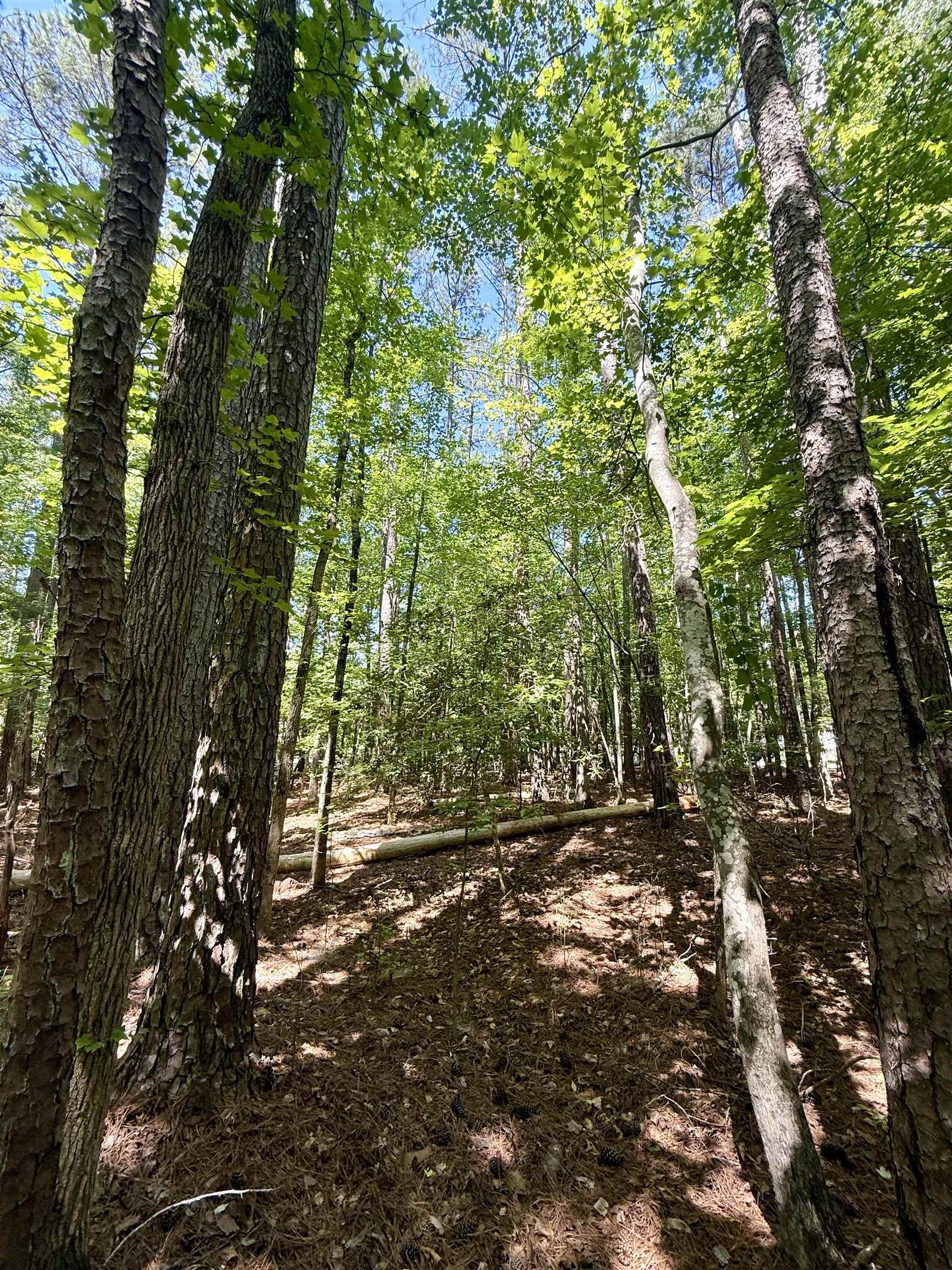 Image 18