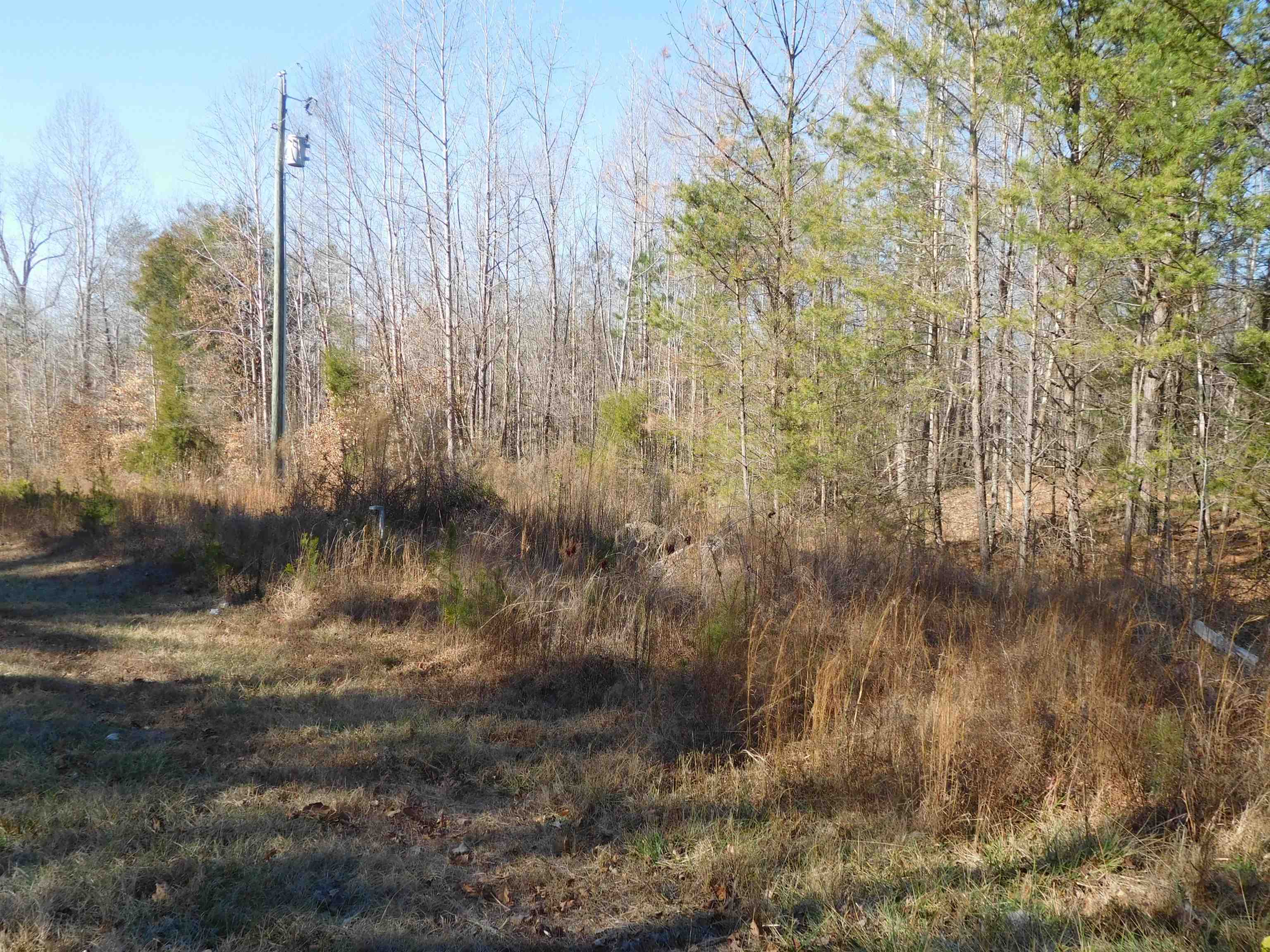 TBD Leadmine Rd Road
