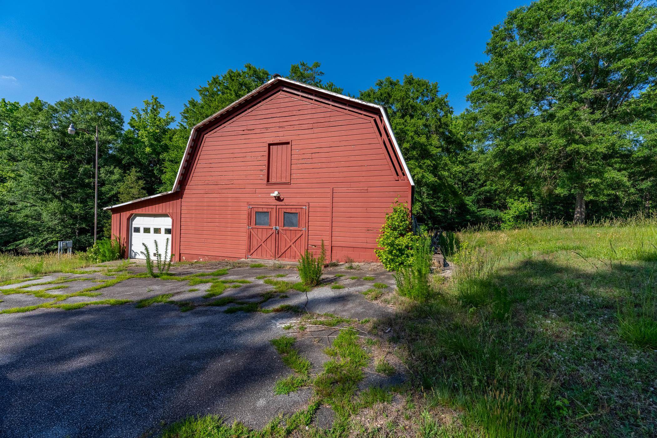 Image 11