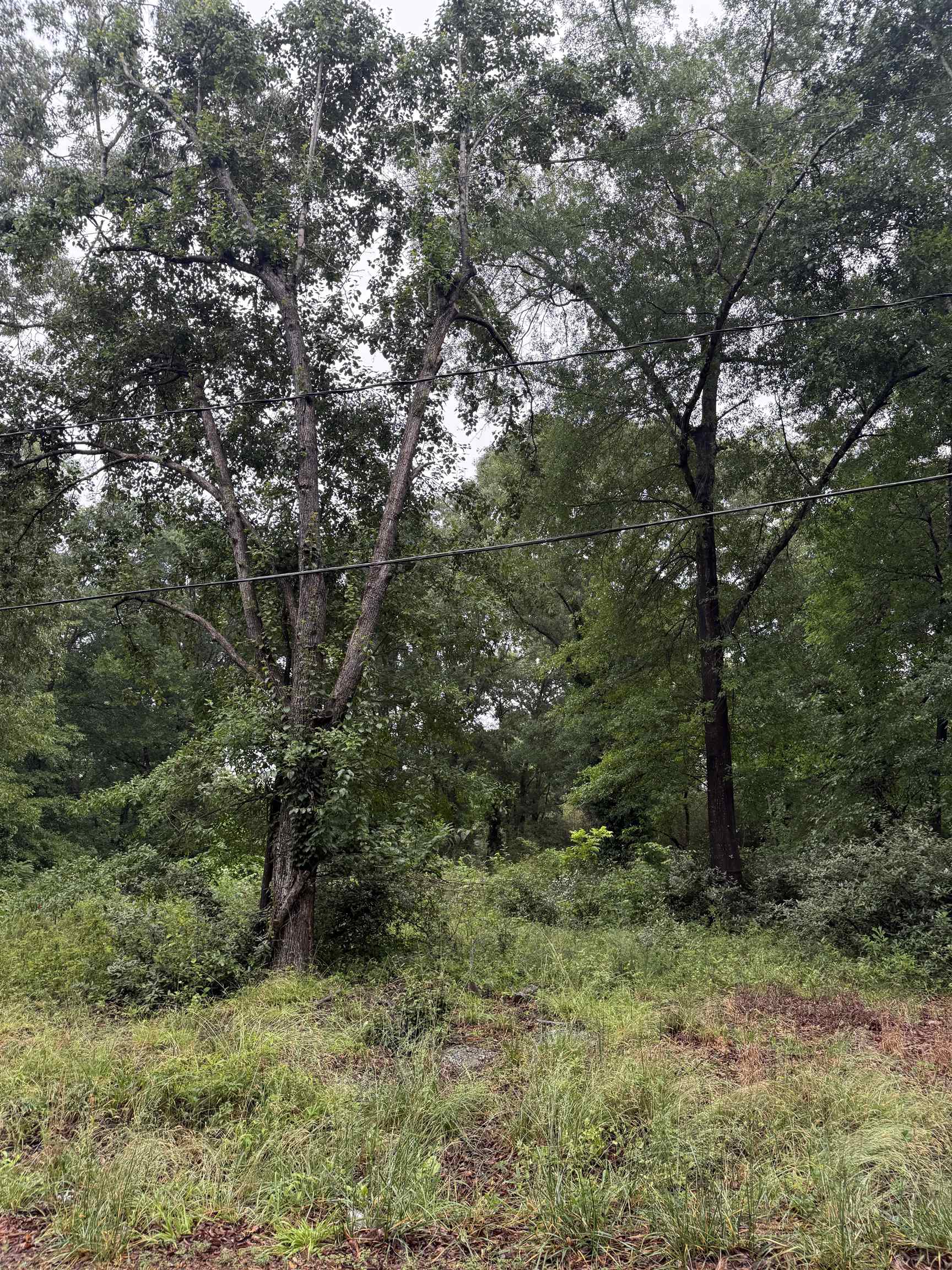 Merle Drive