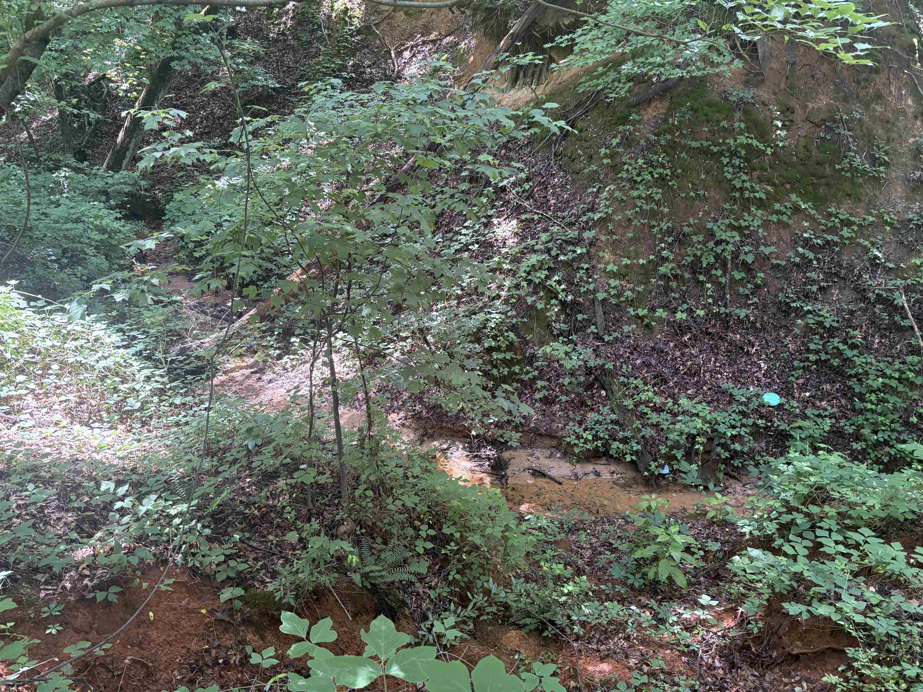 Image 16