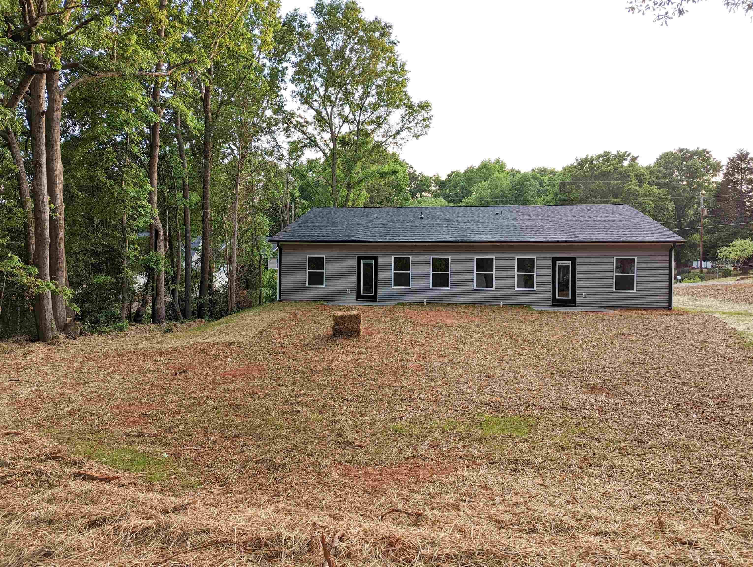 Image 19