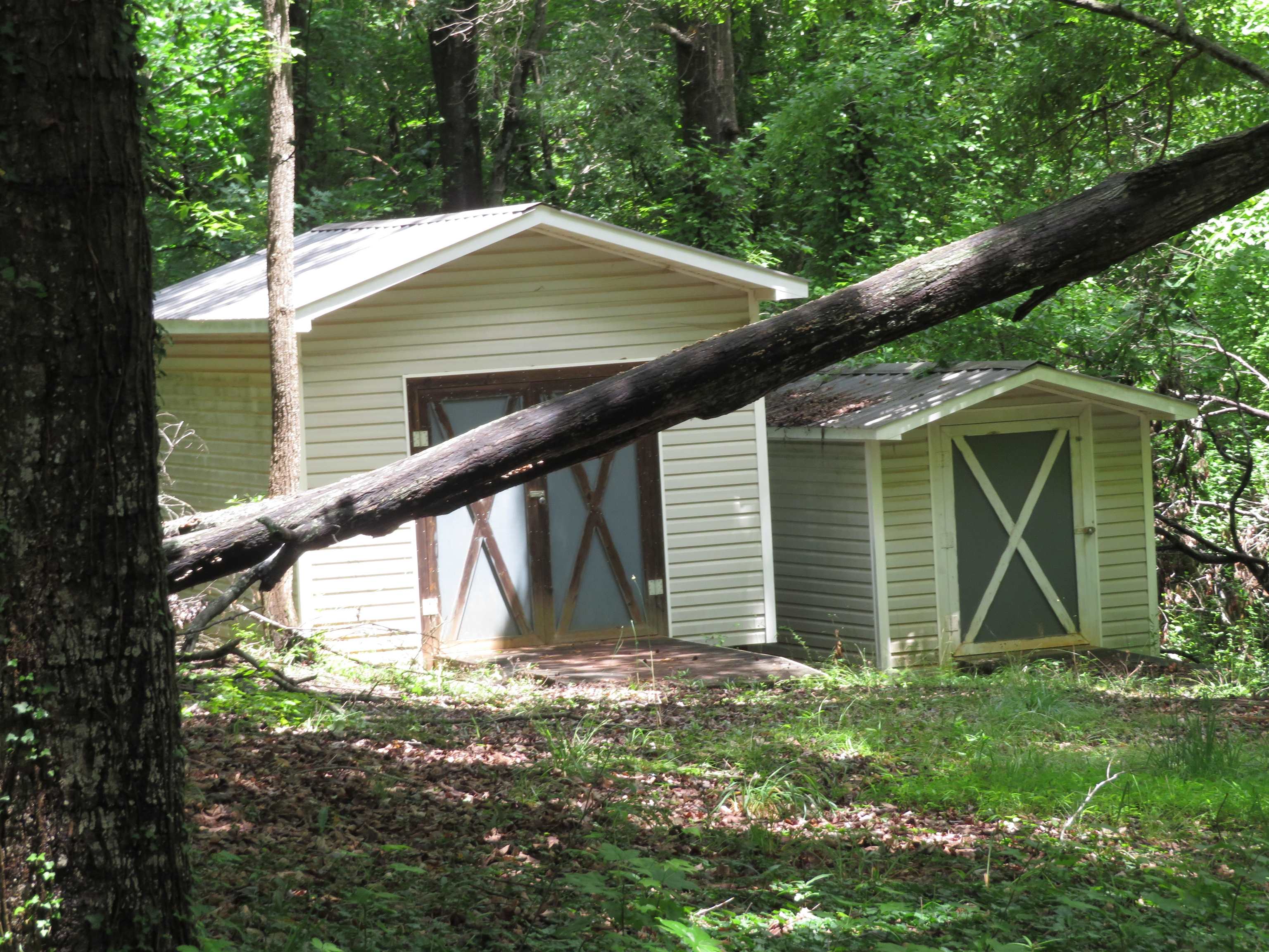 Image 19