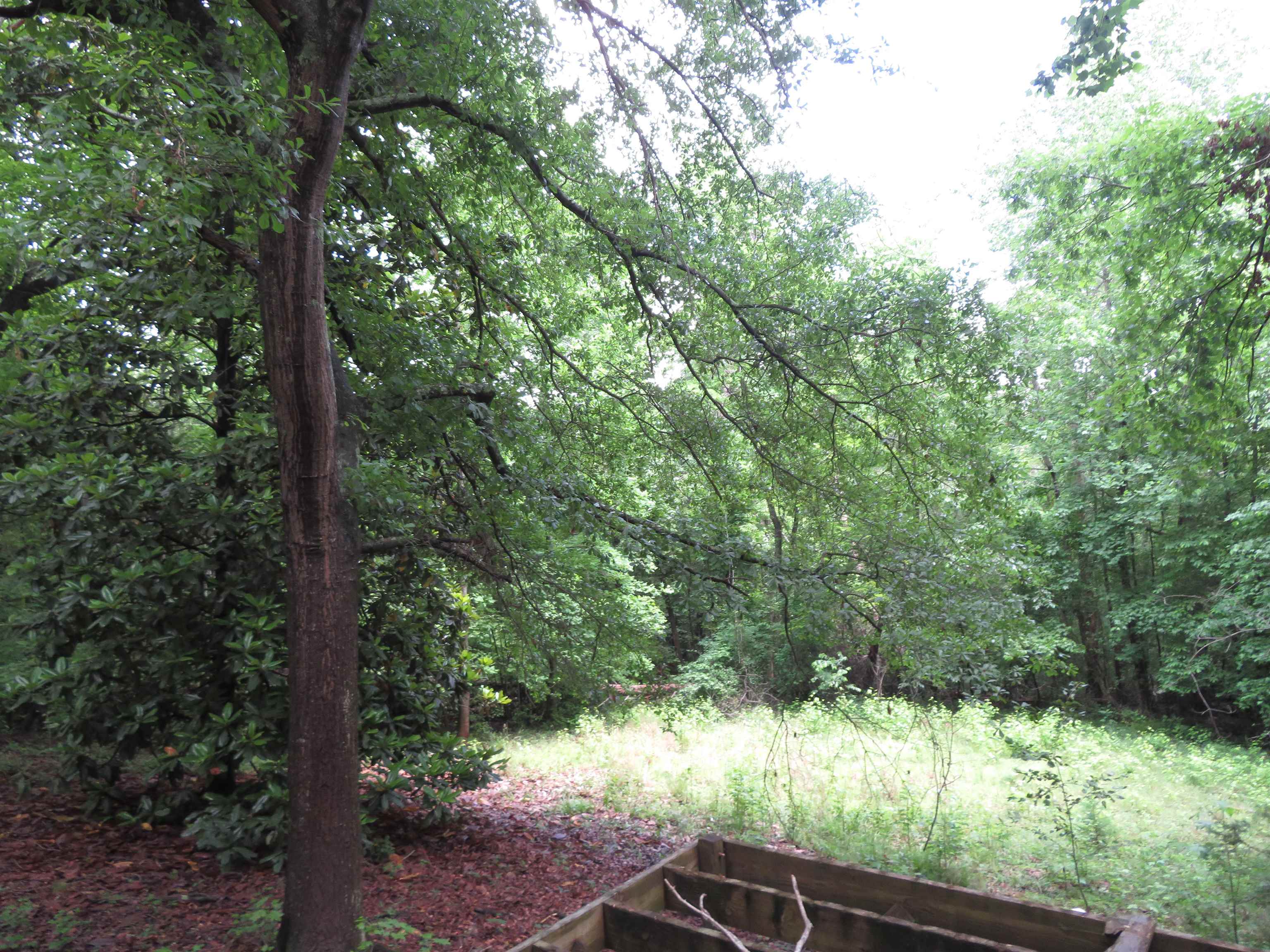 Image 24