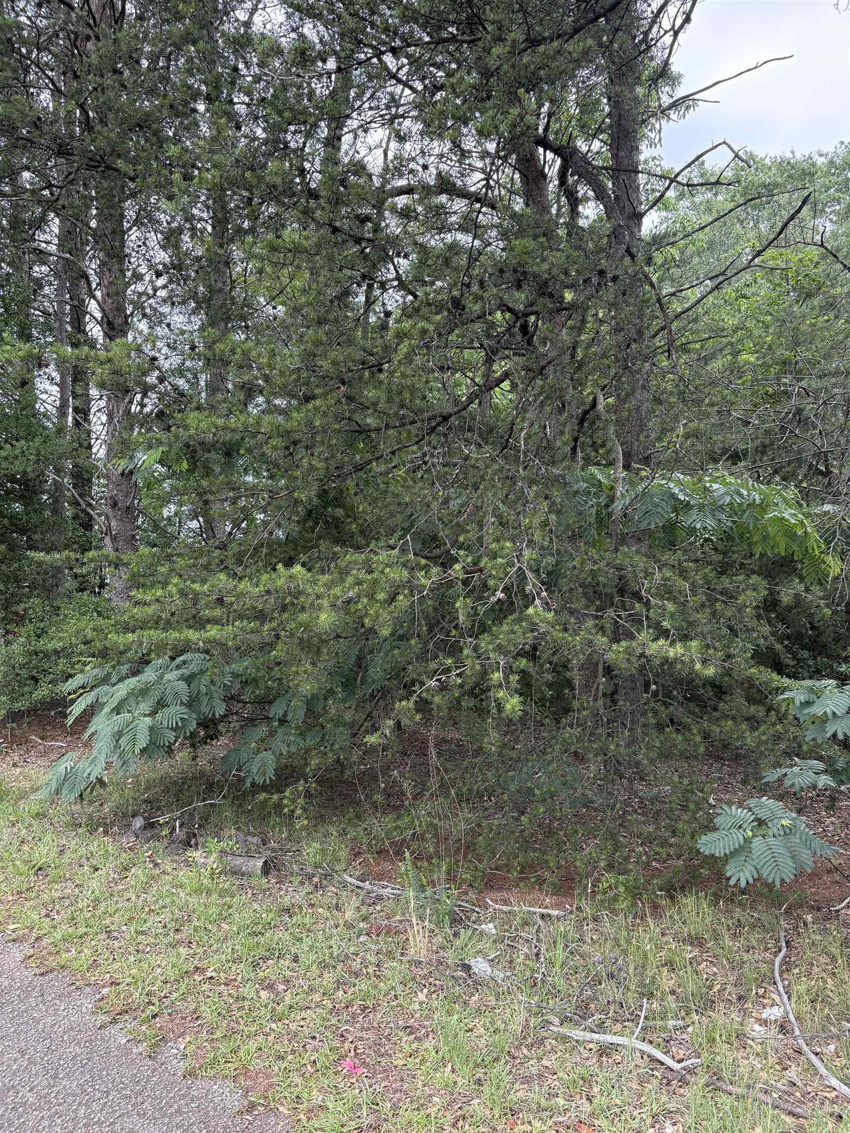 Image 18