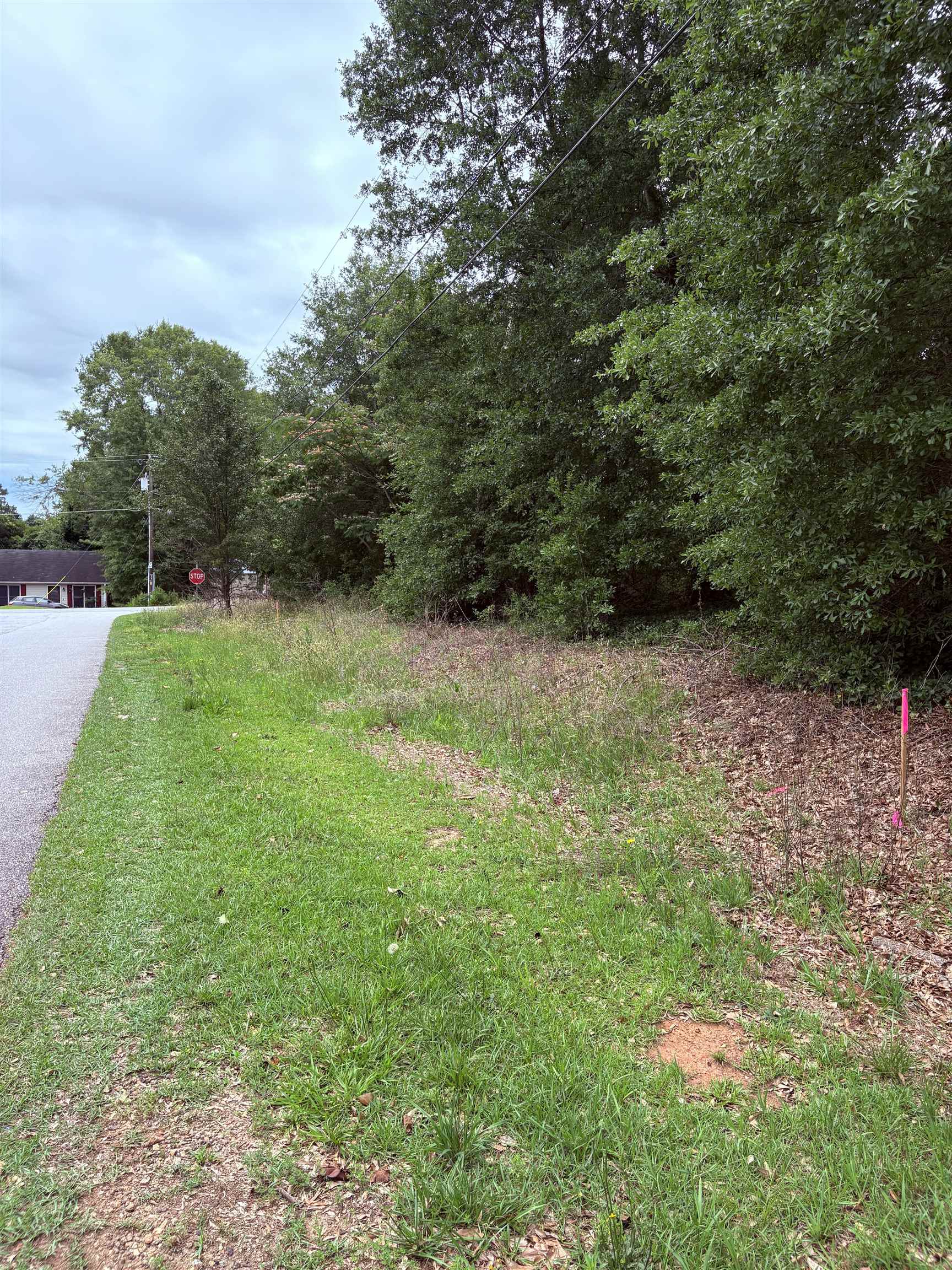 Image 13