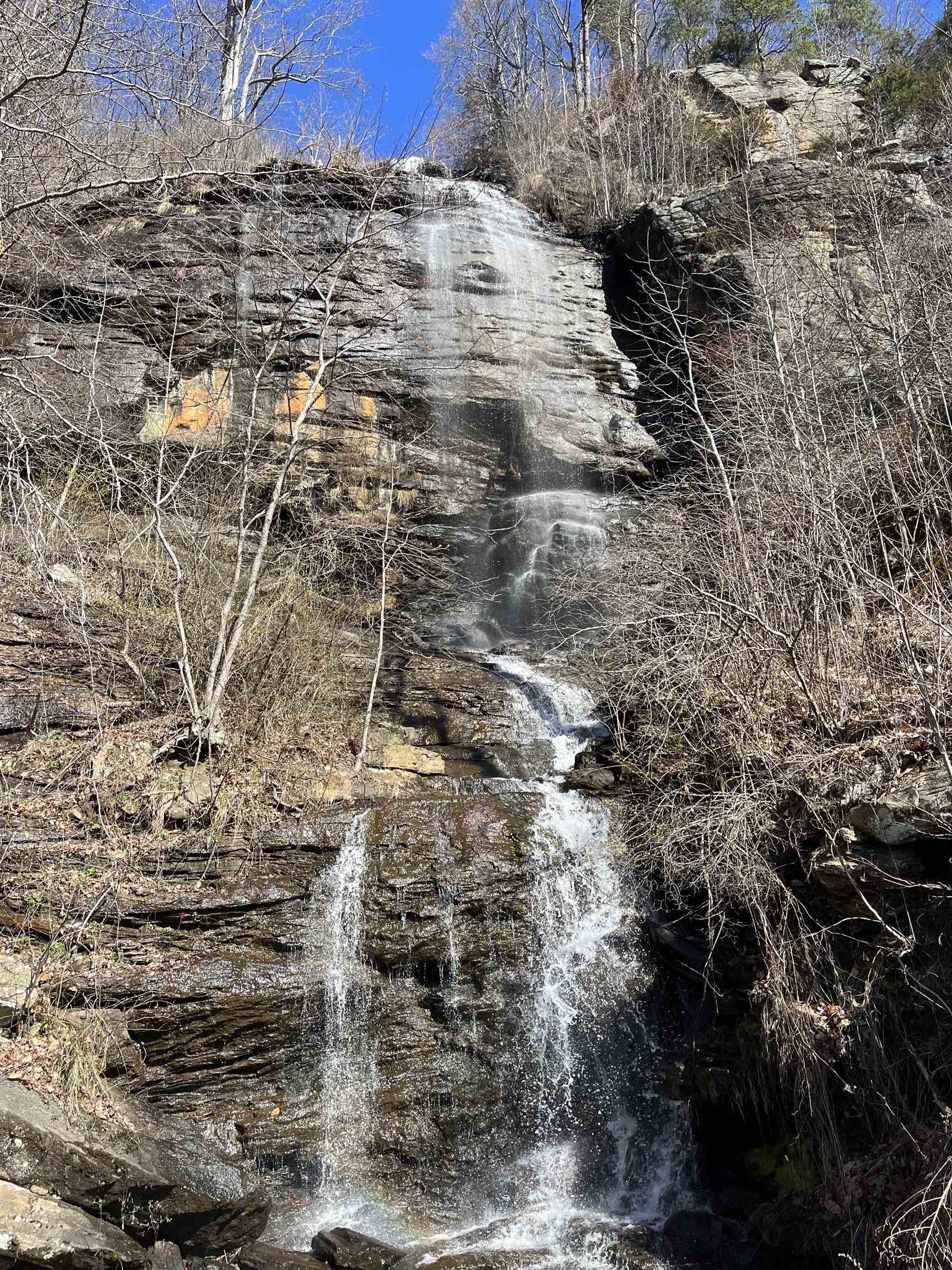 Image 40