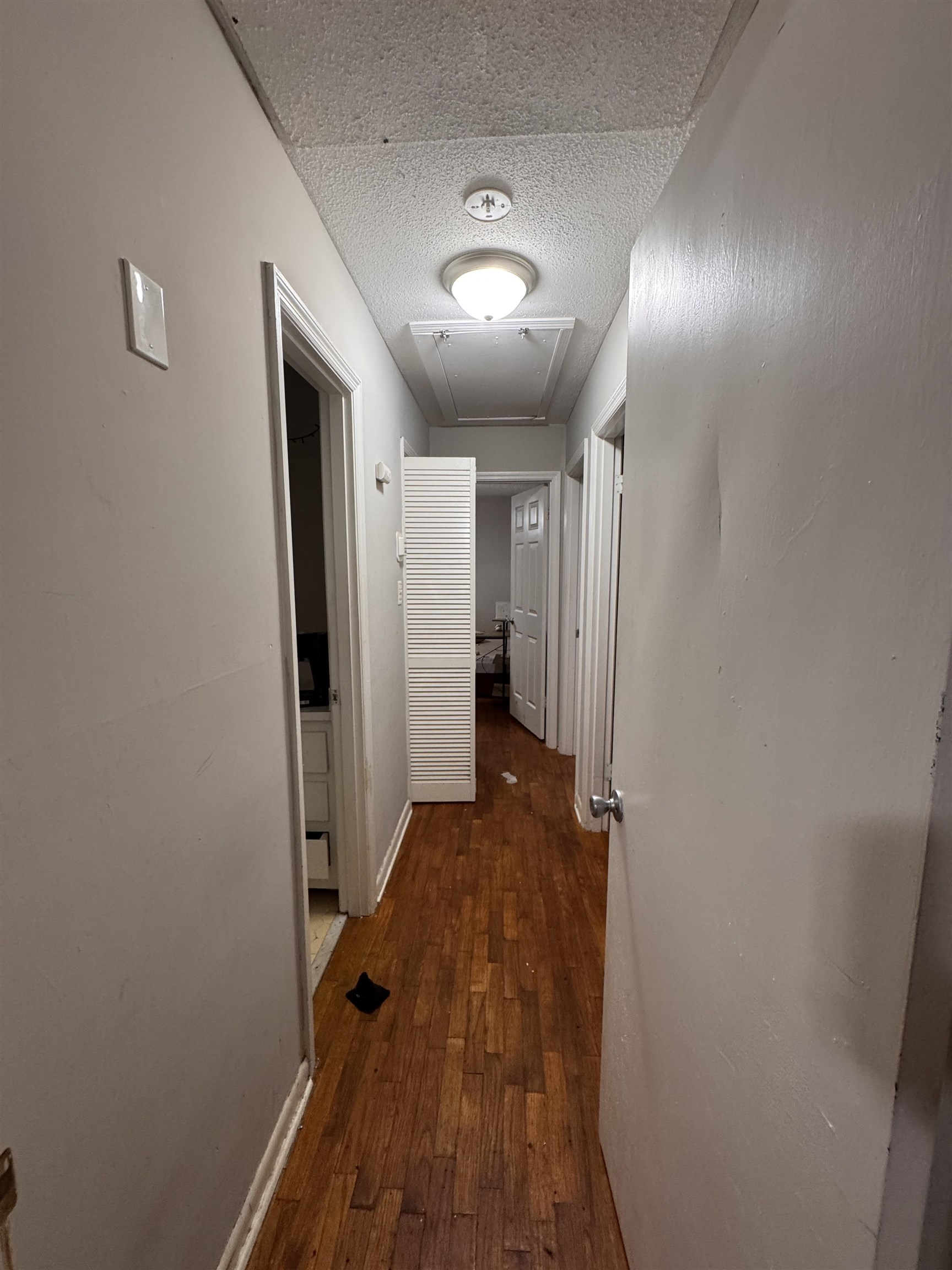 Image 11