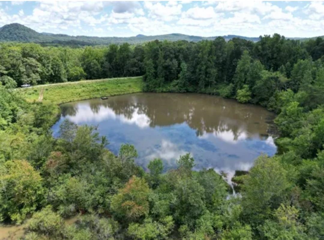 105 Right Fork Rd