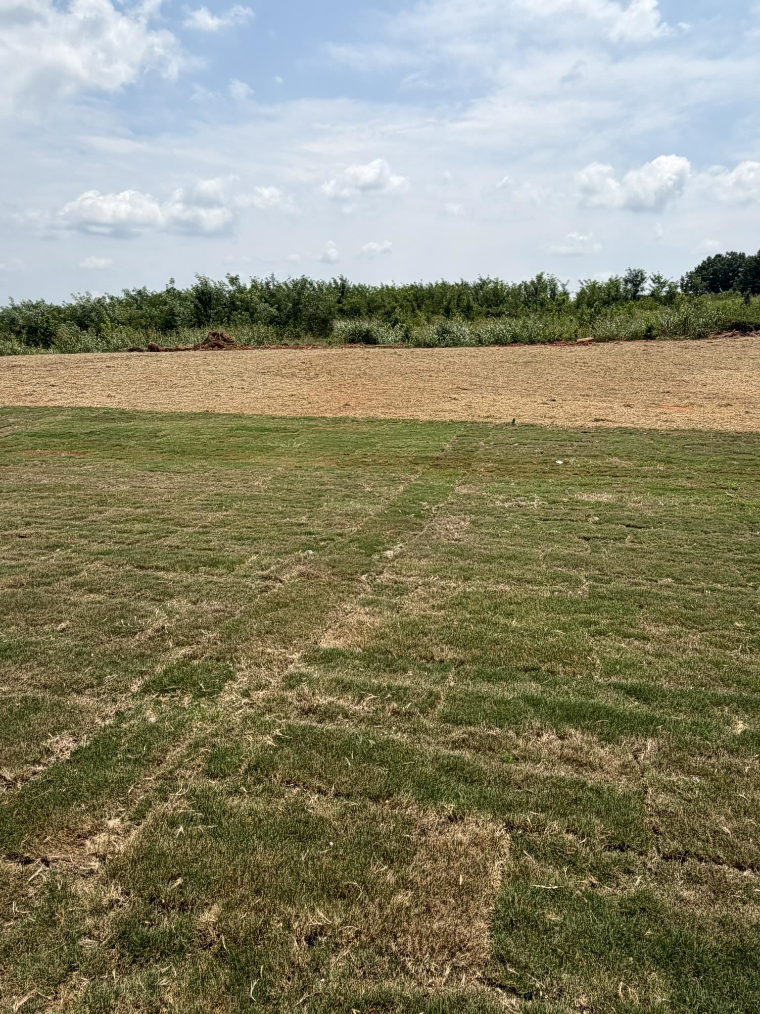 Image 14