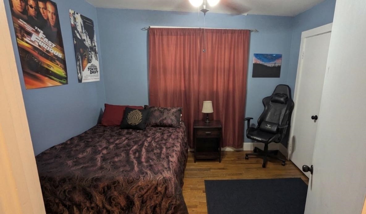 Image 5