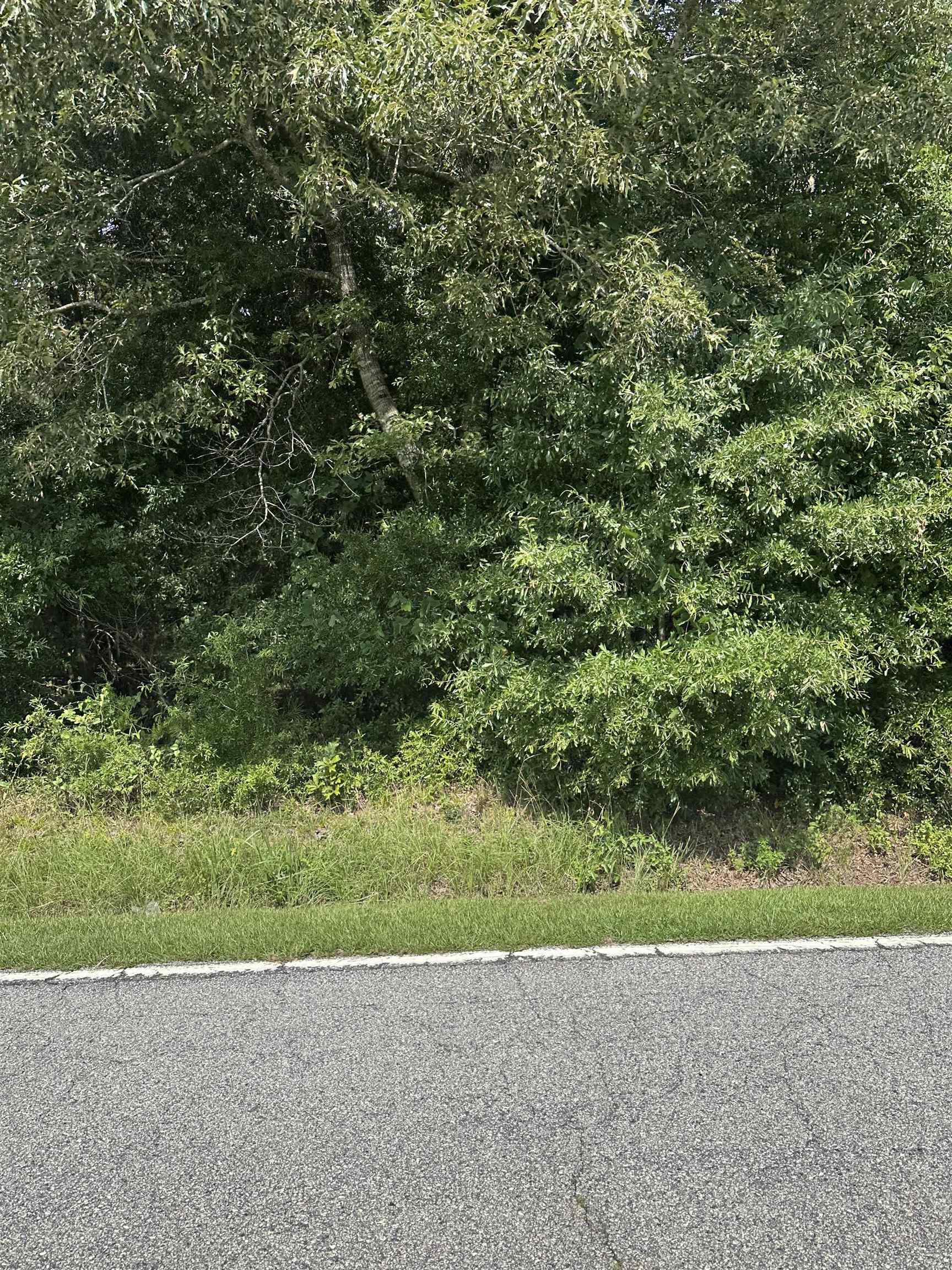 Old Buncombe Road