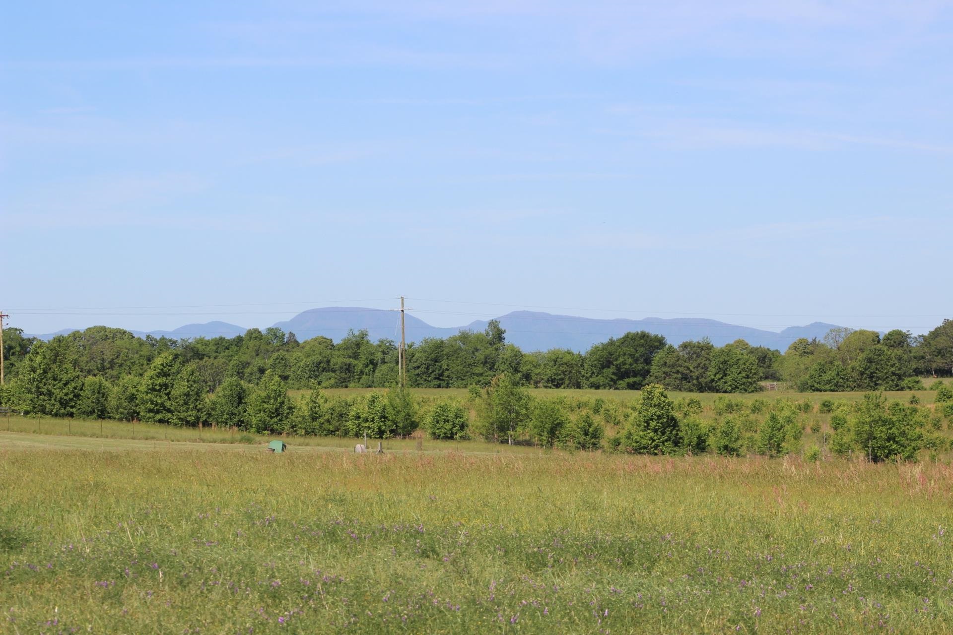 Image 13