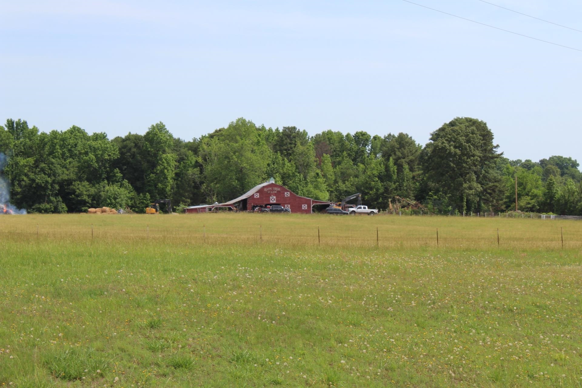 Image 13