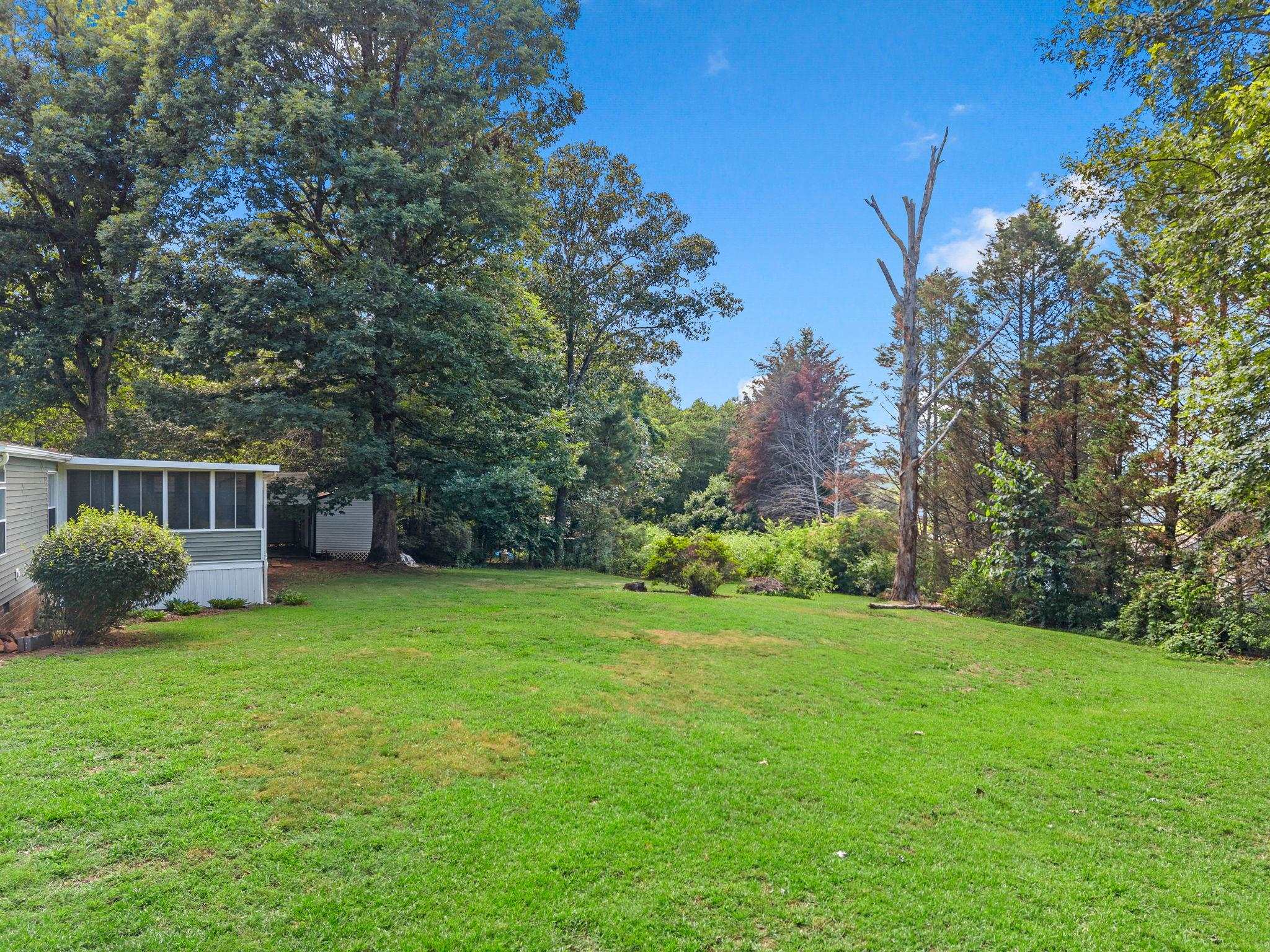 Image 38