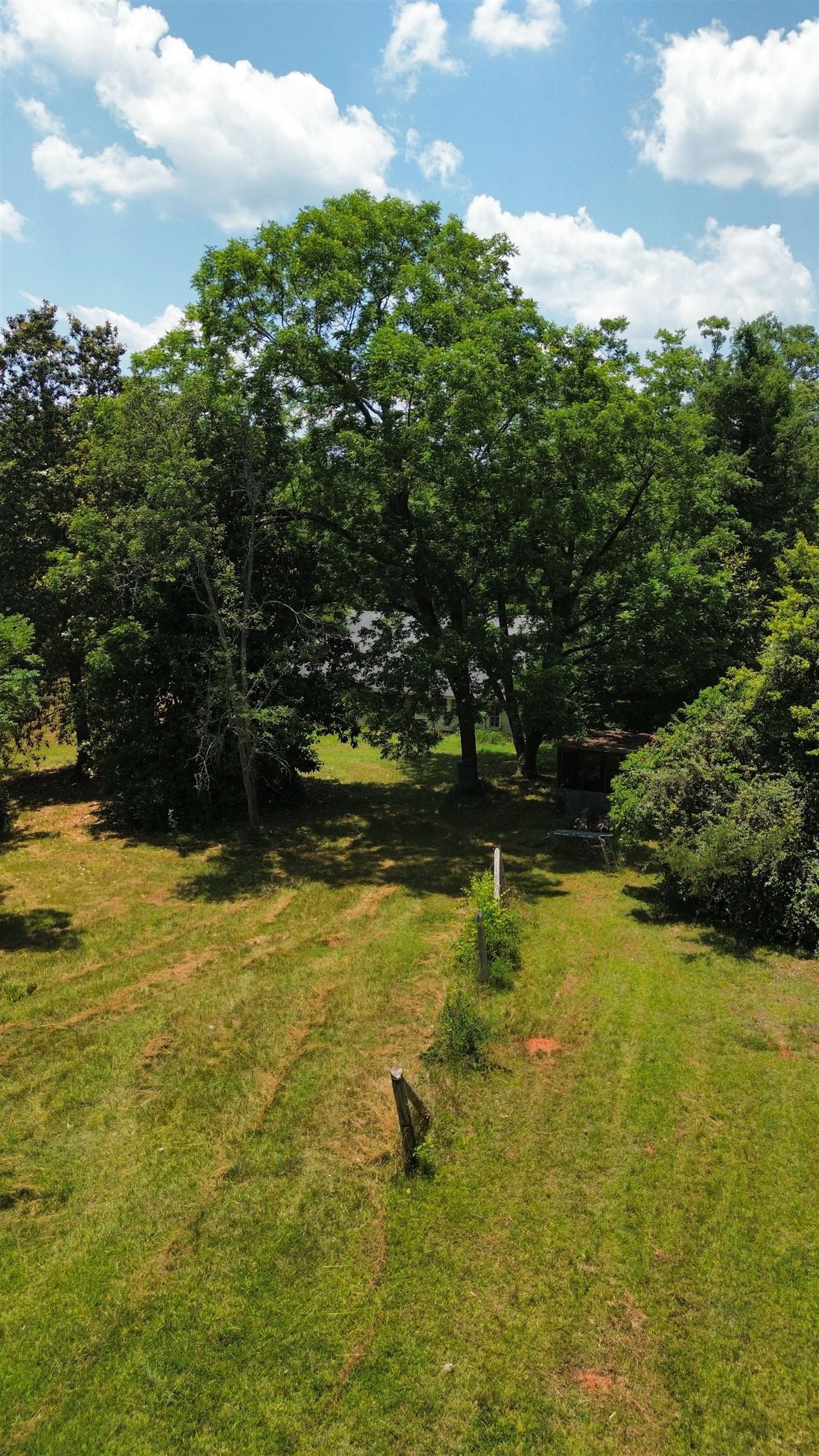 Image 13