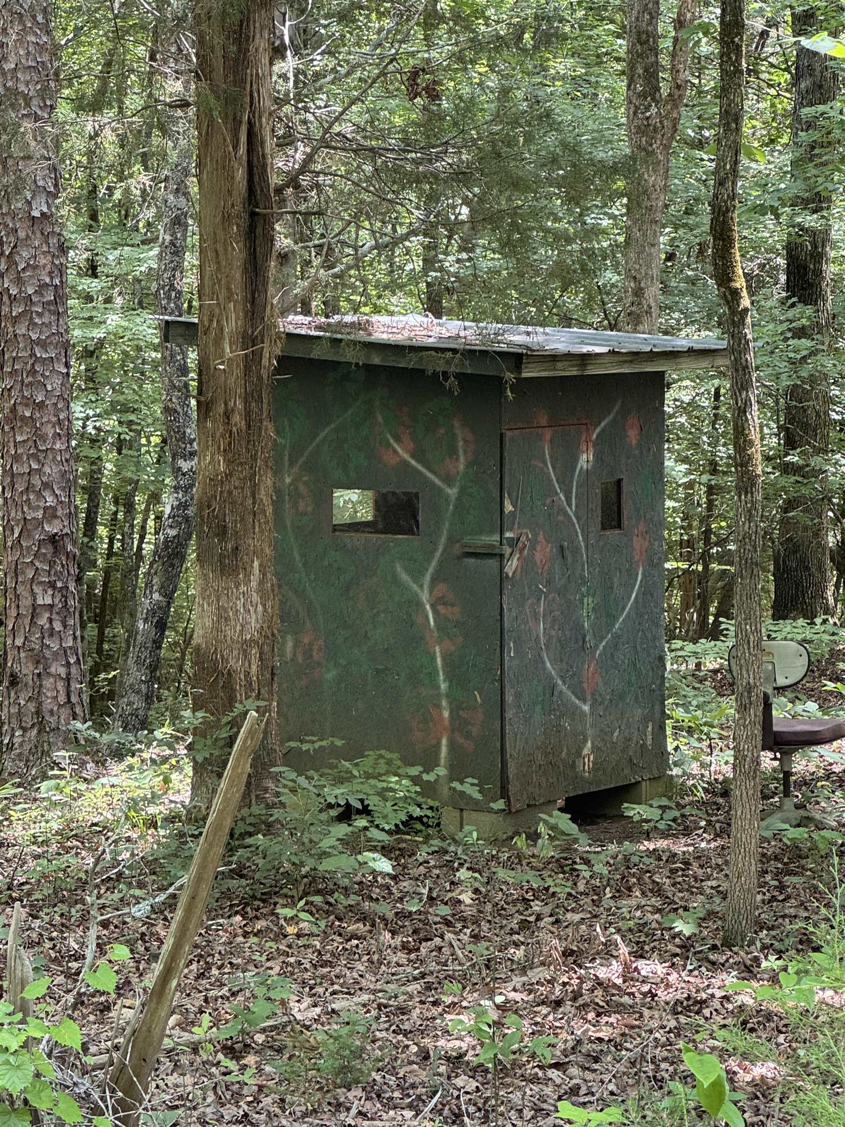 Image 15