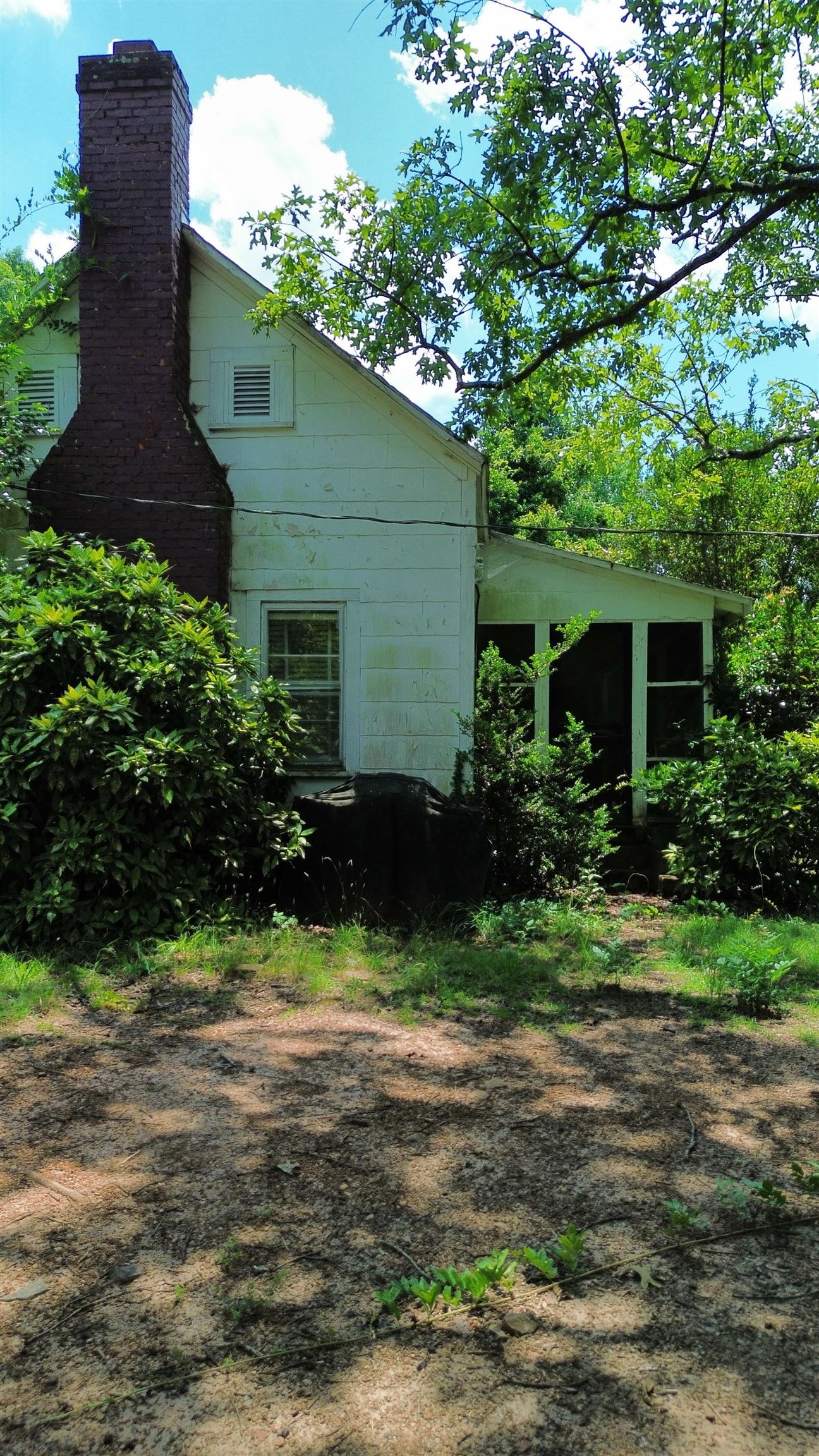 Image 22
