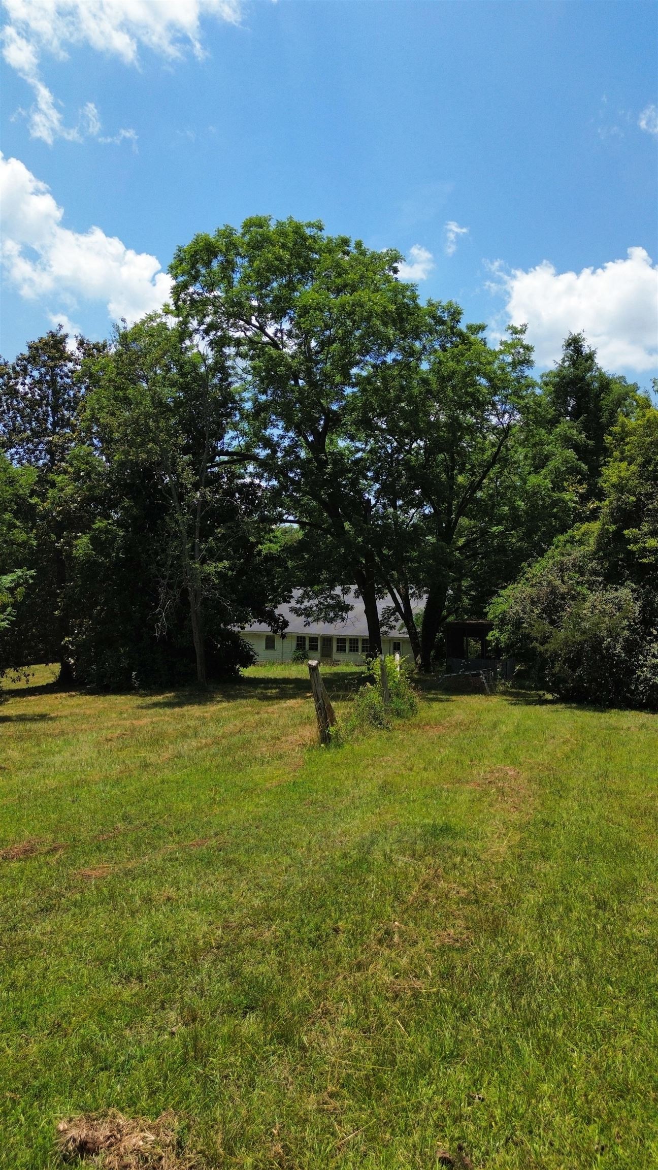 Image 19
