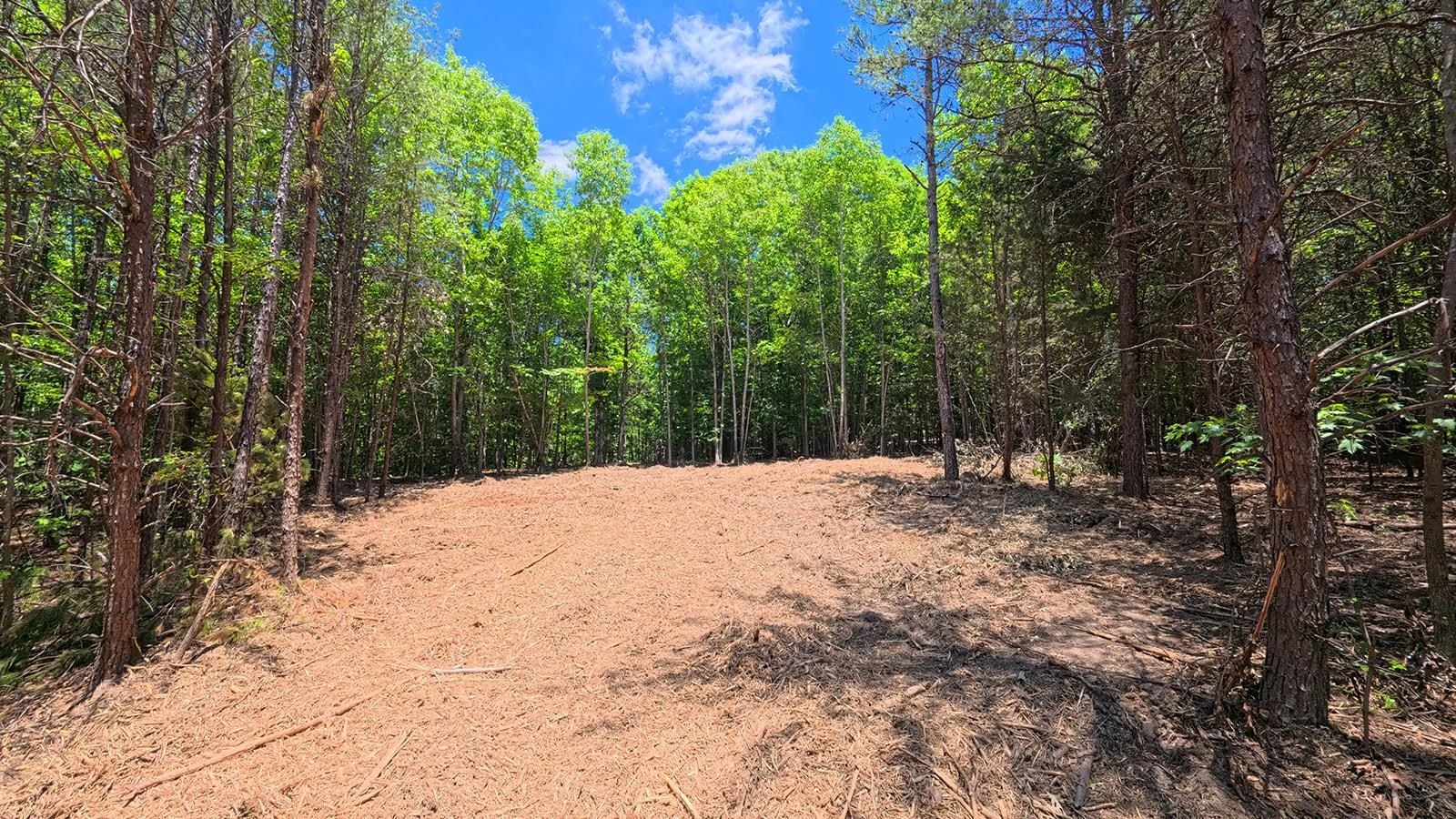Image 14