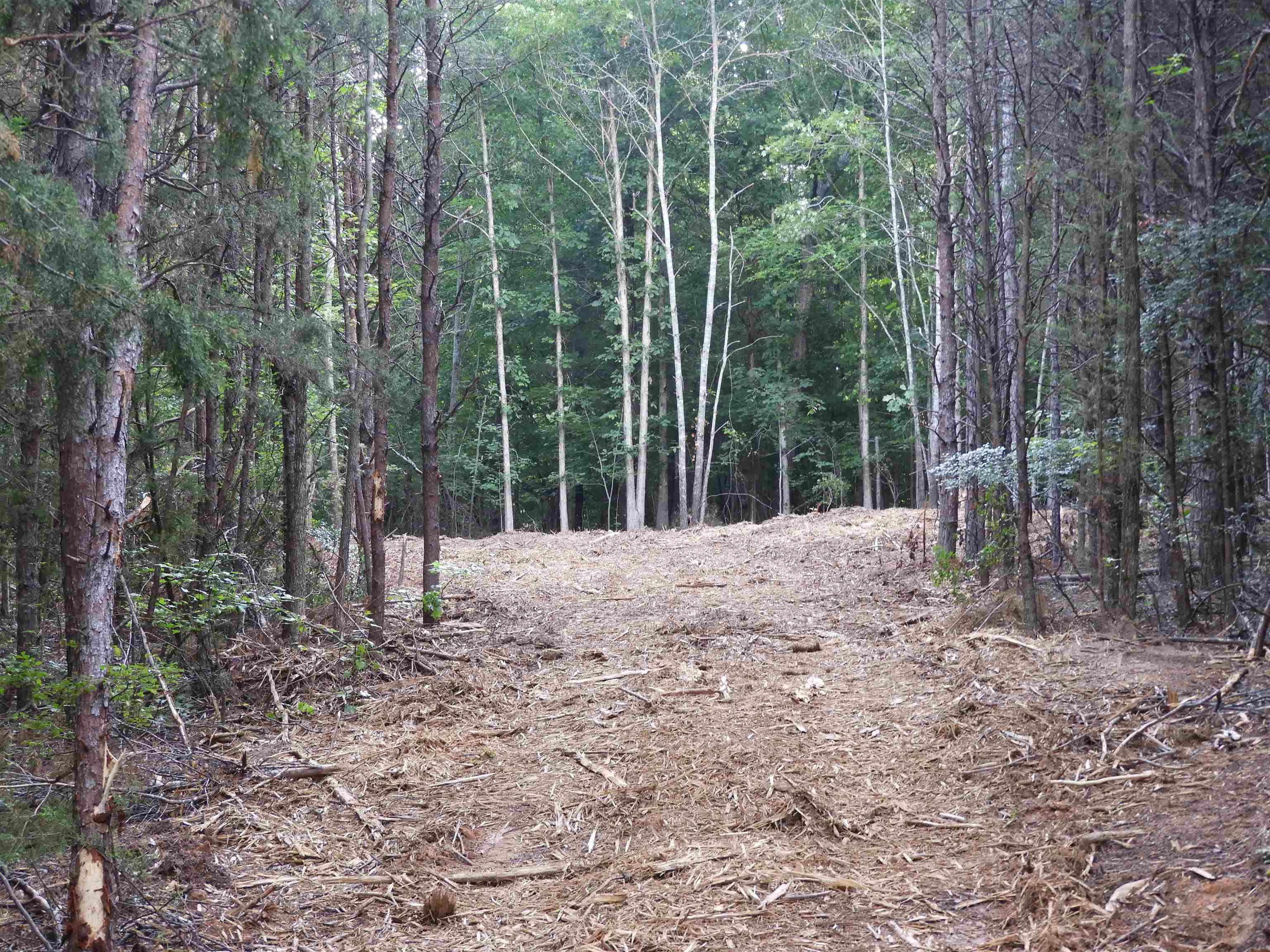 Image 40
