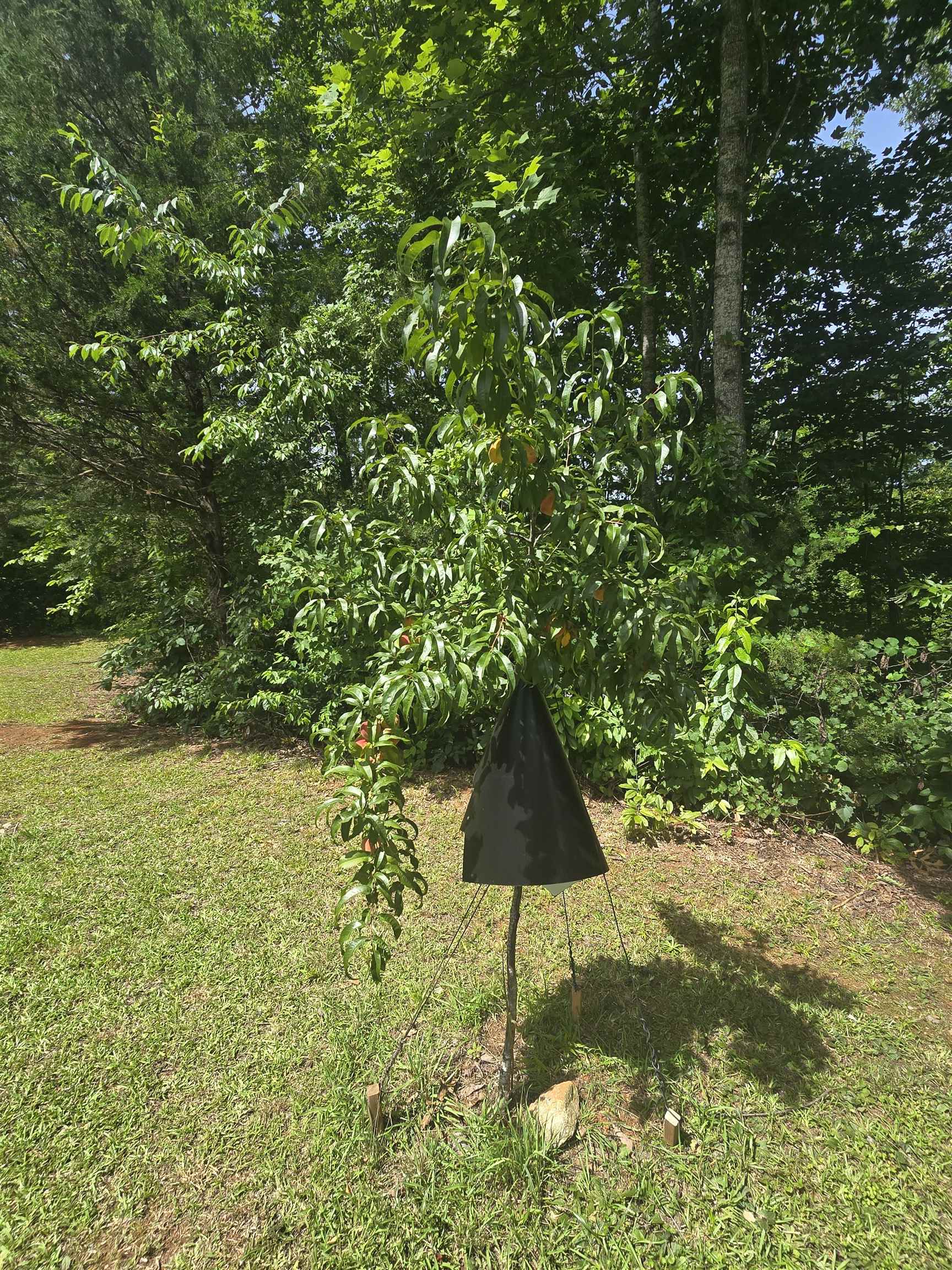 Image 34