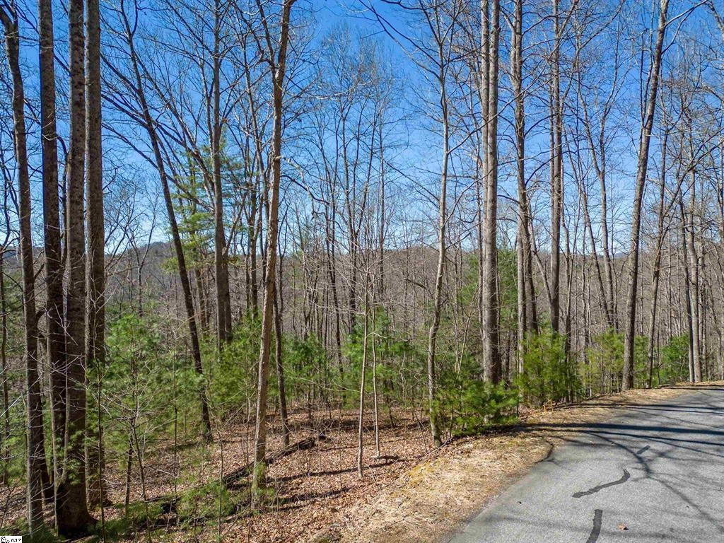 132 Overlook Park Drive