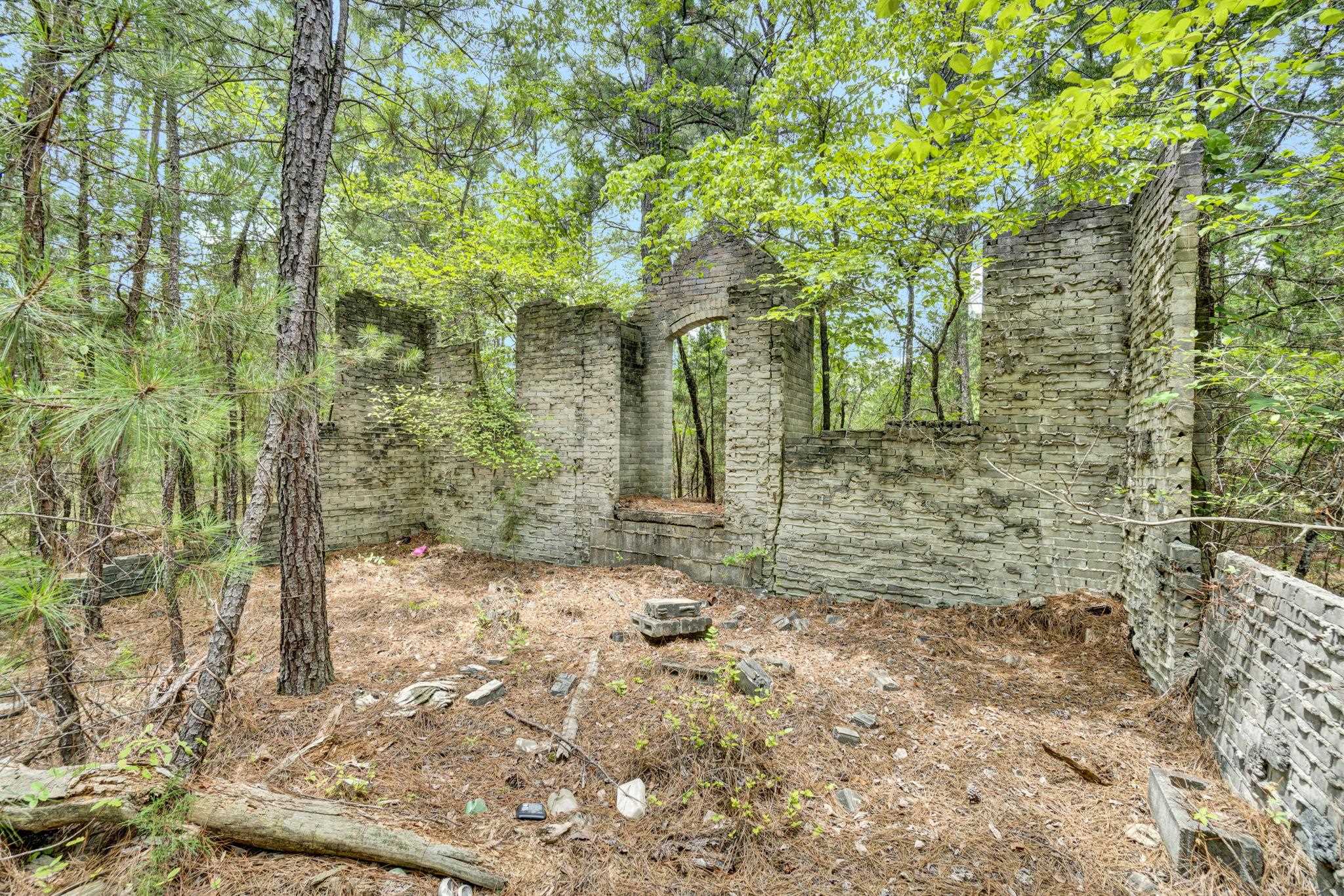 Image 13