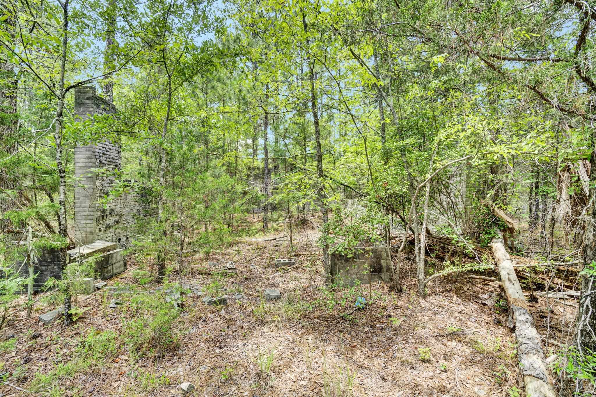 Image 14