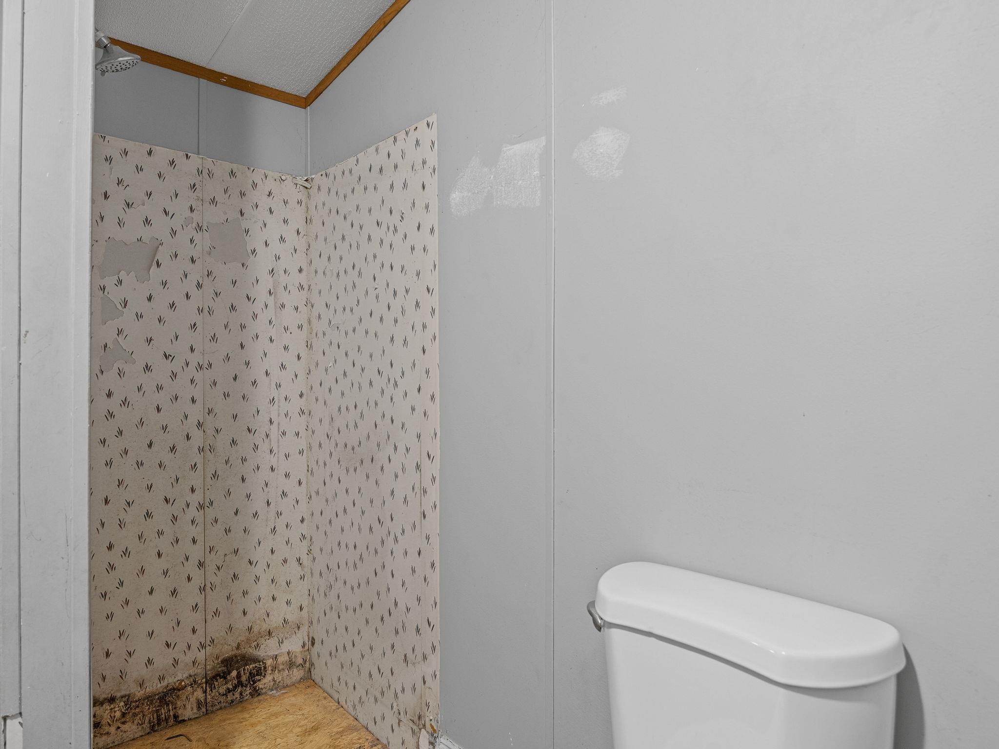 Image 29
