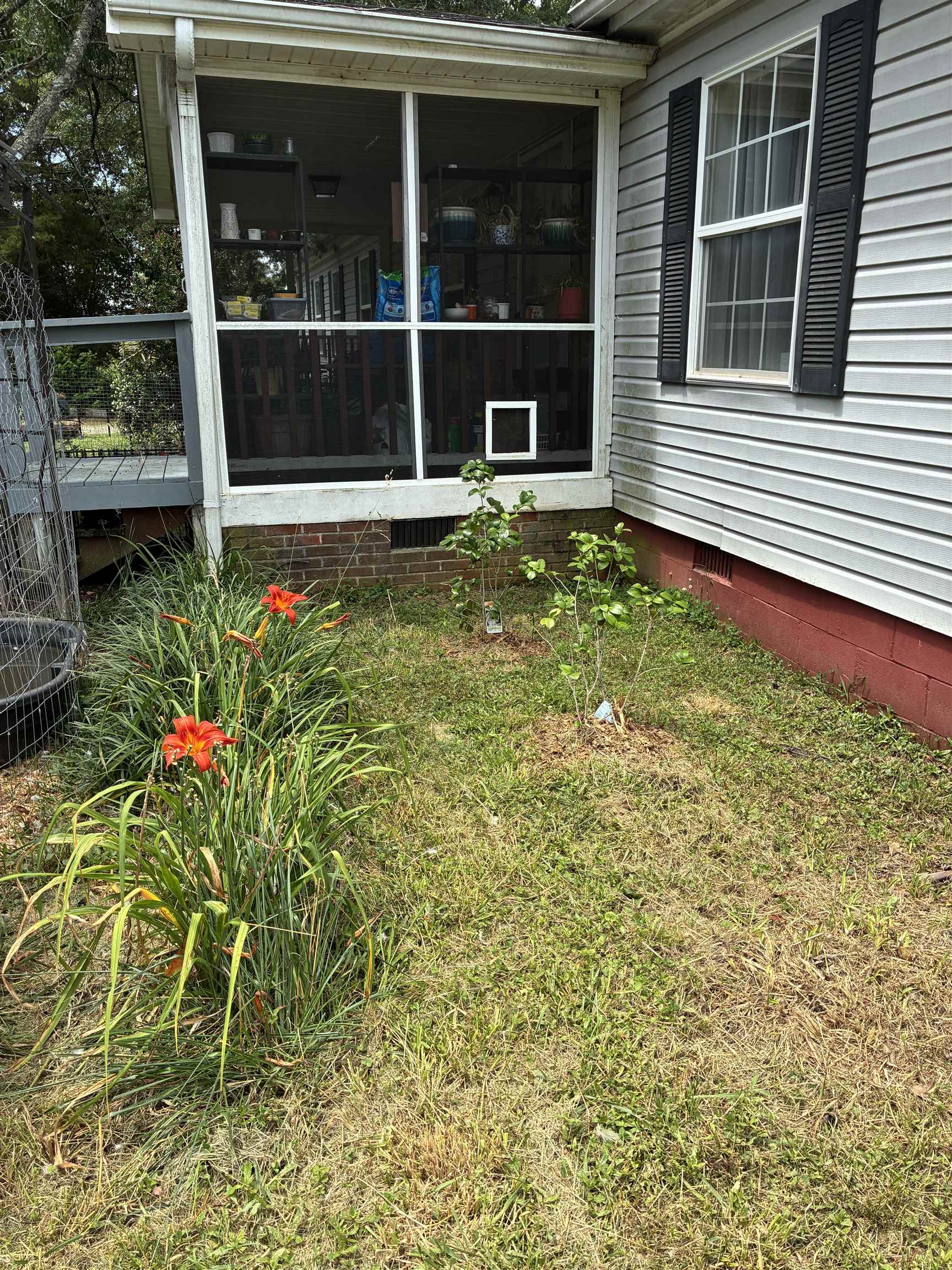 Image 32
