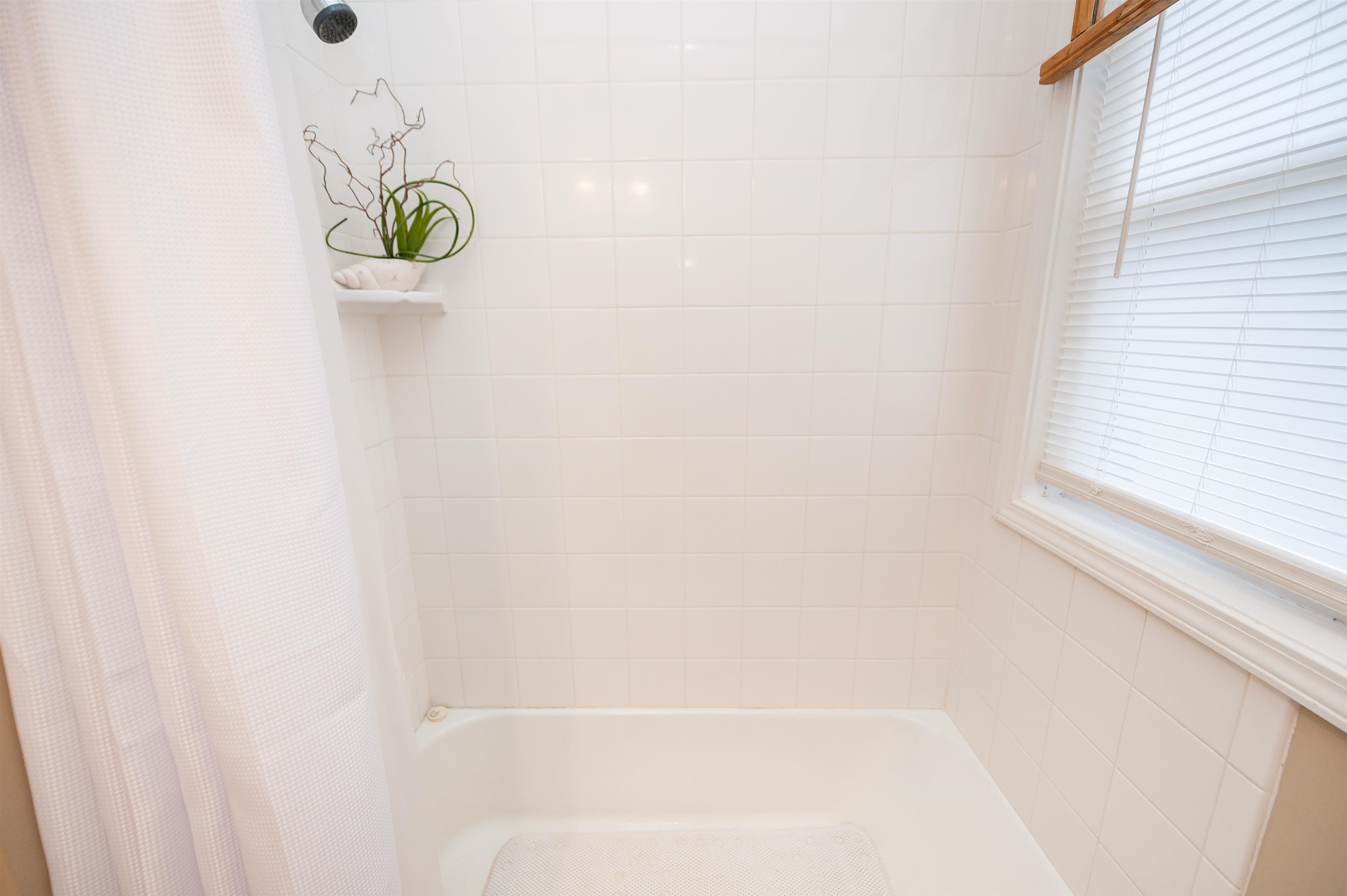Image 36