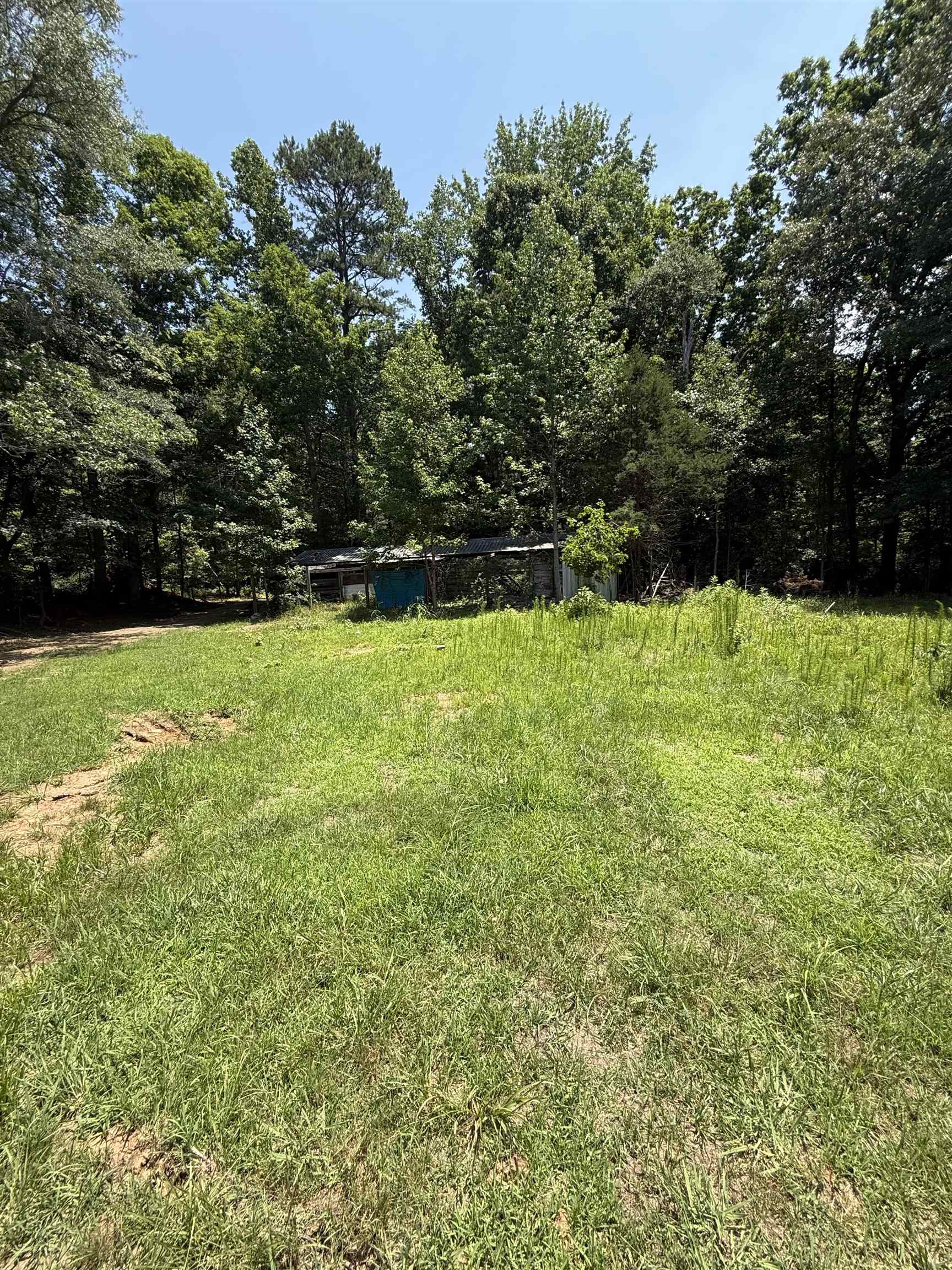 Image 11