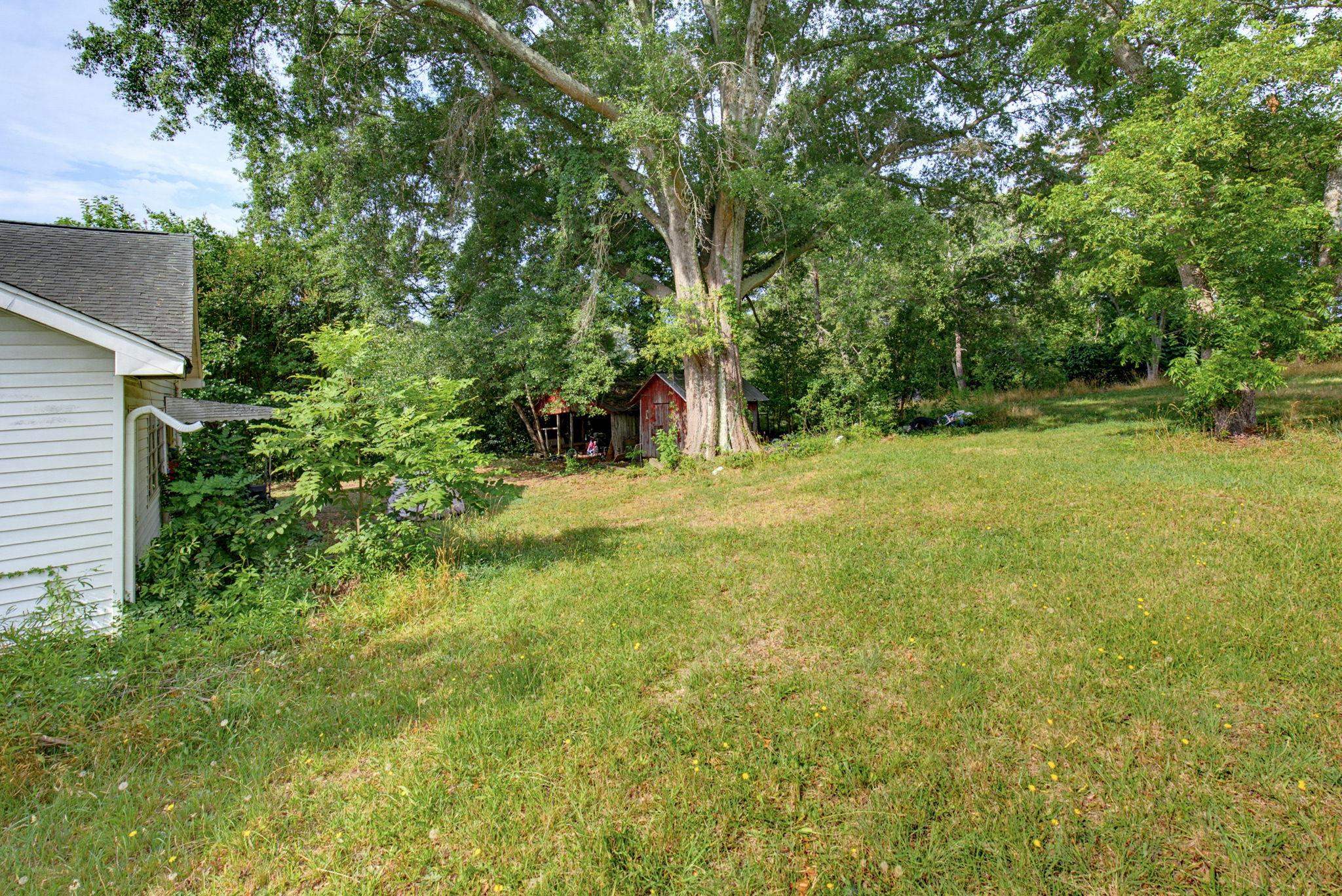 Image 25