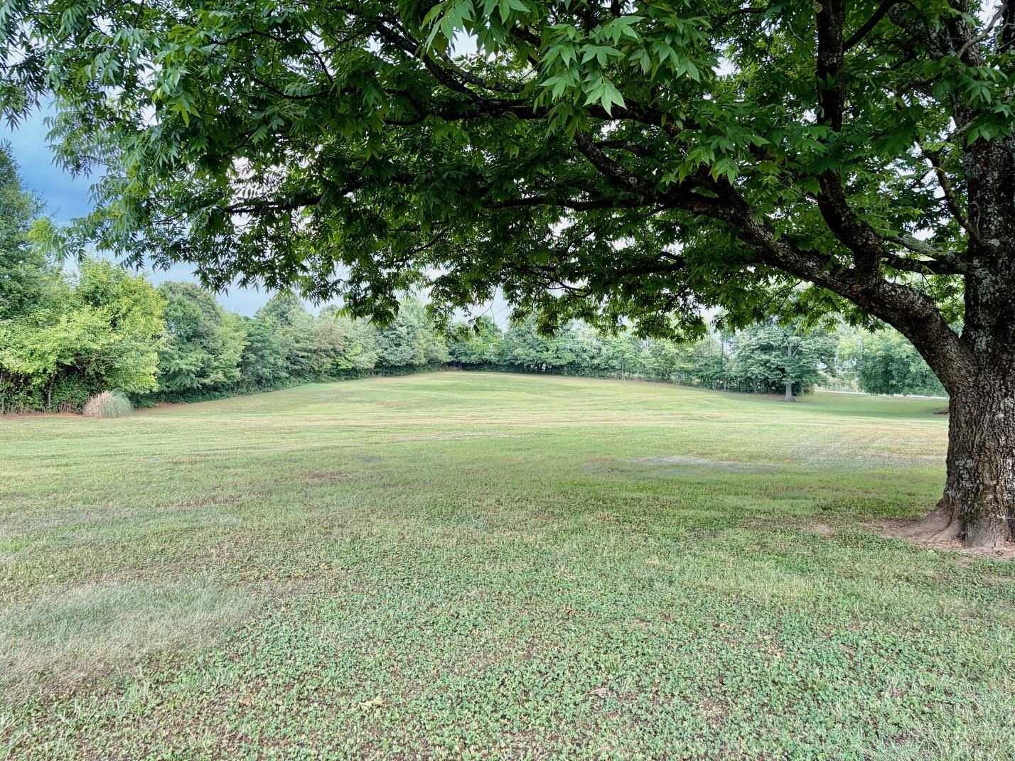 Image 50