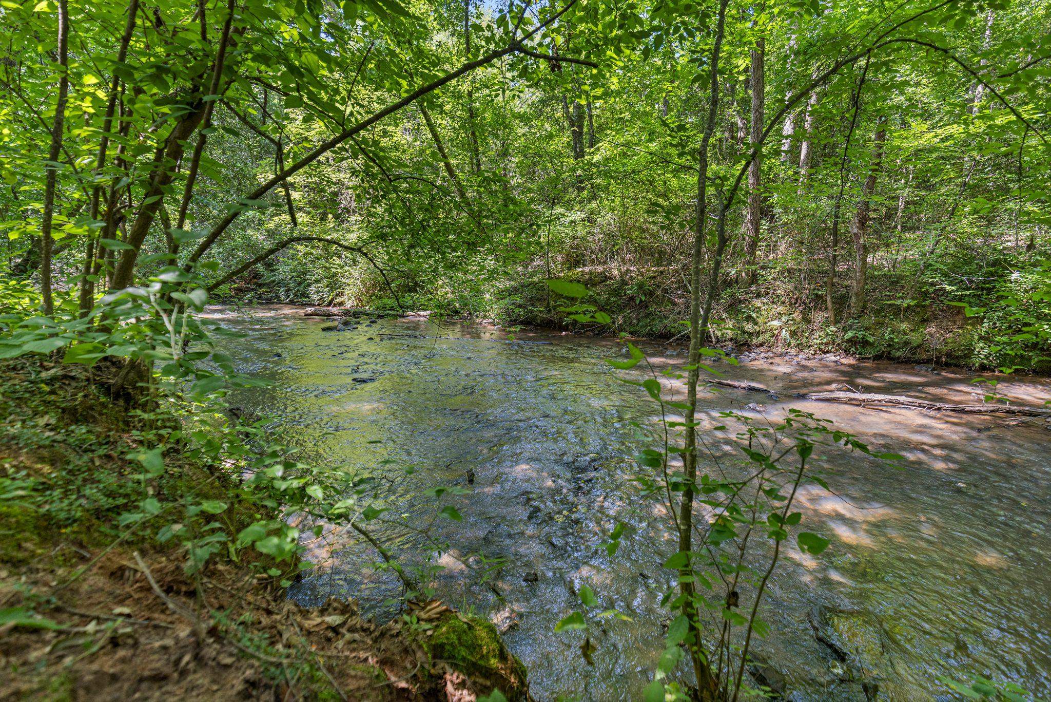 Image 14