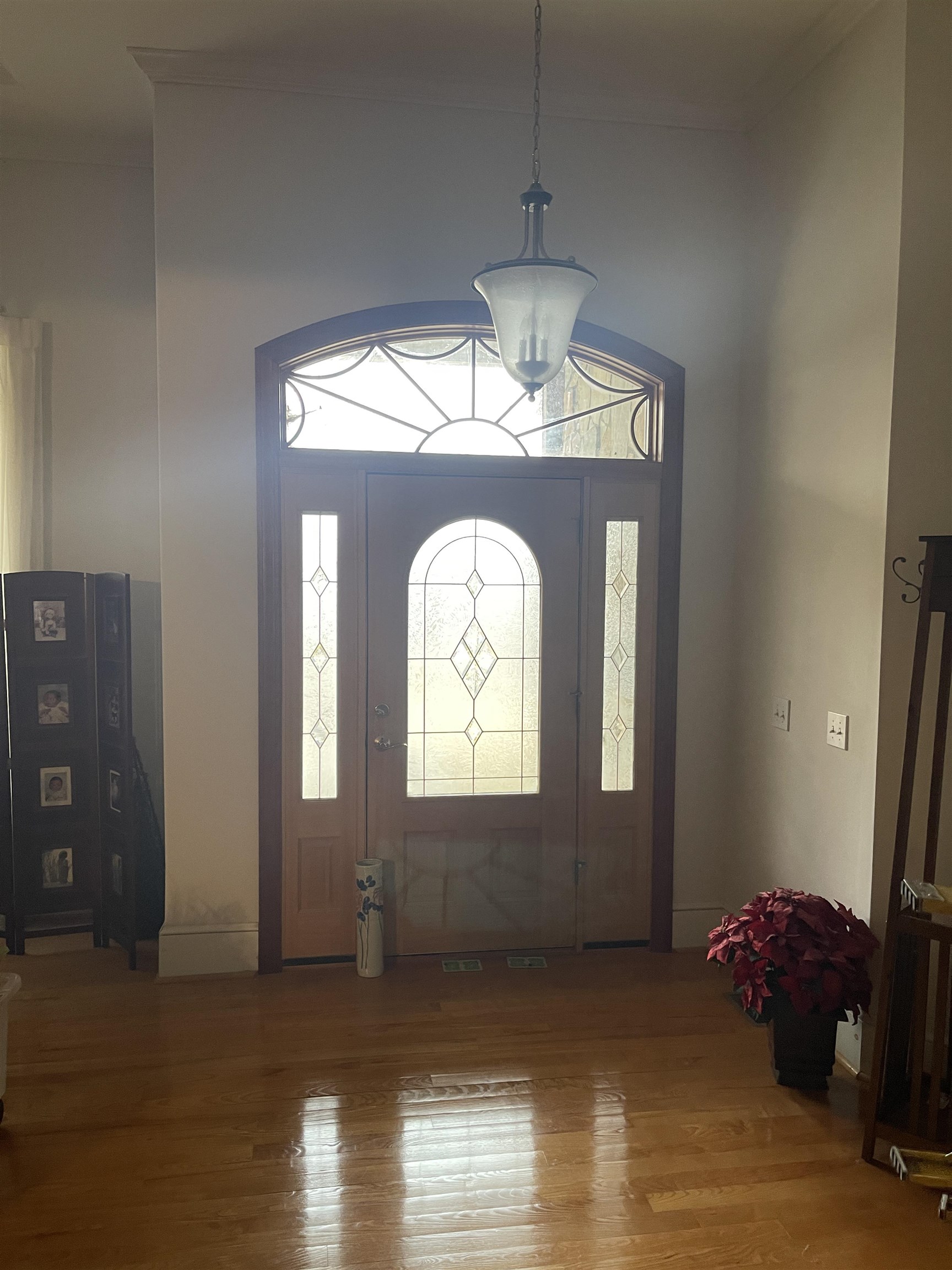 Image 19
