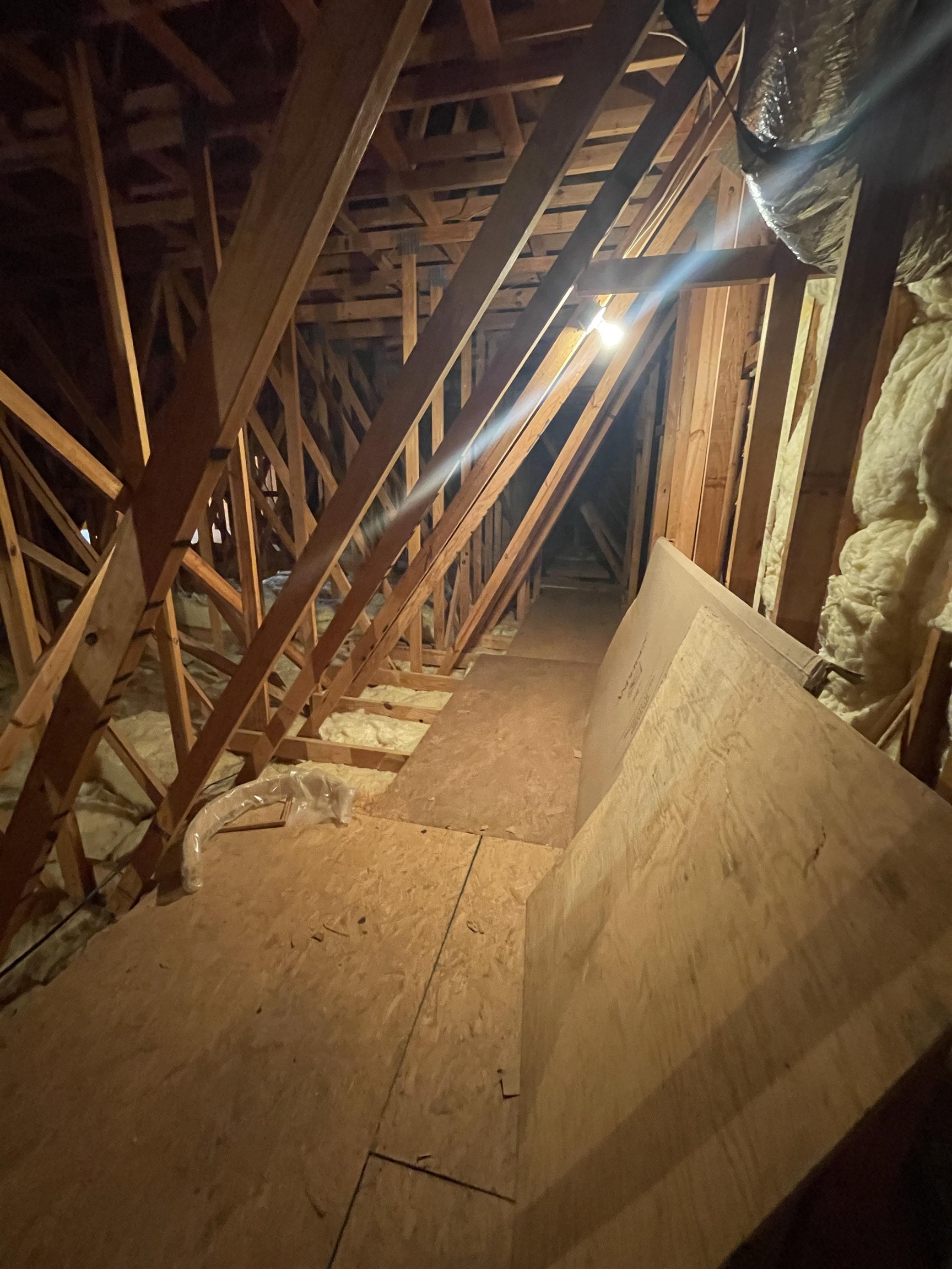 Image 25