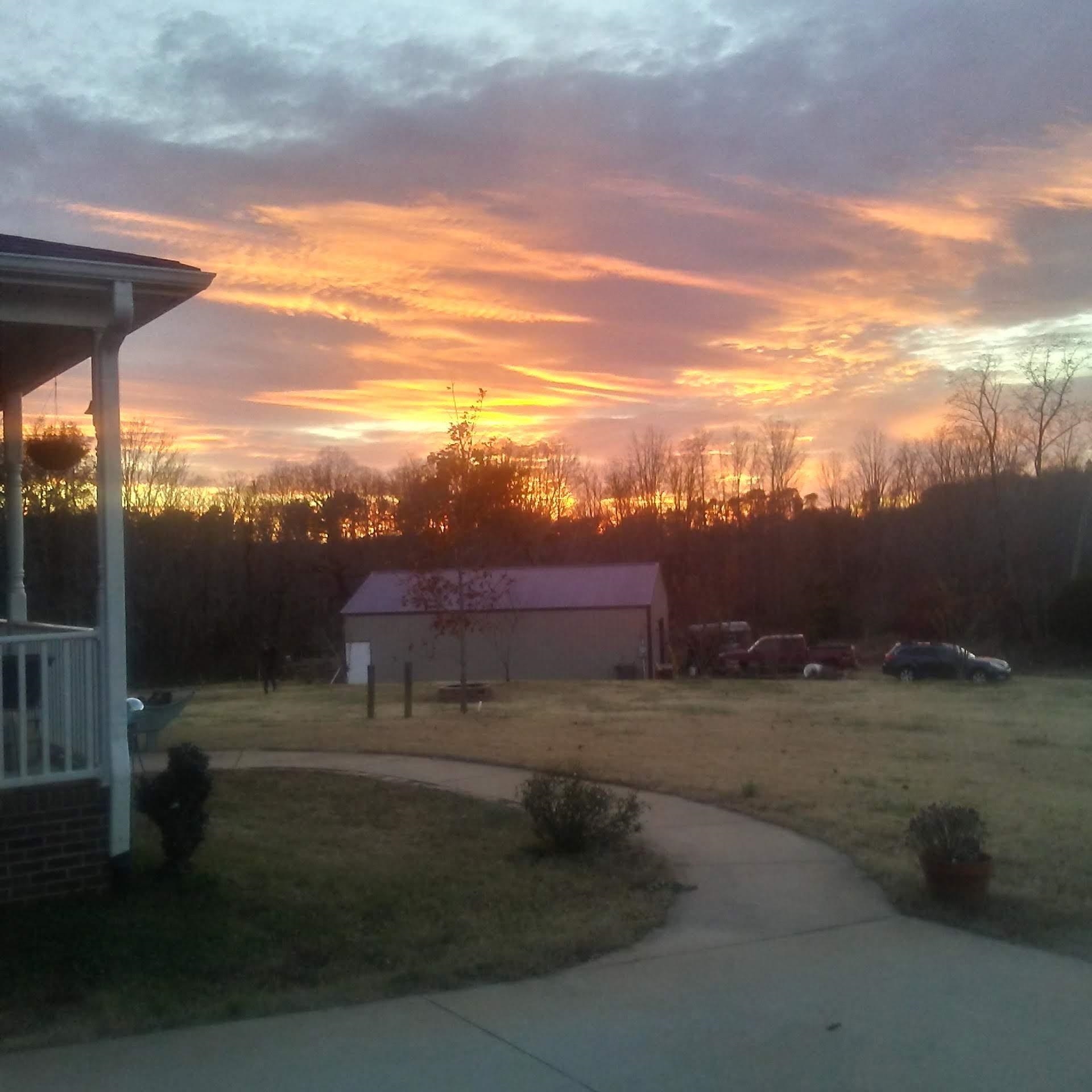 Image 11